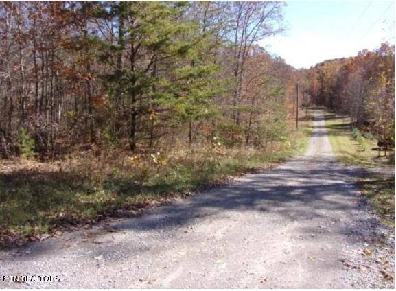 Pikeville, TN 37367,0 Green LN