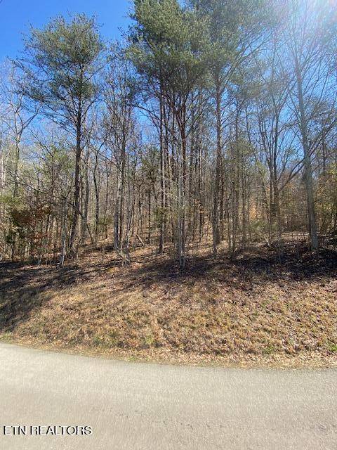 Lenoir City, TN 37771,0 Blackburn LN