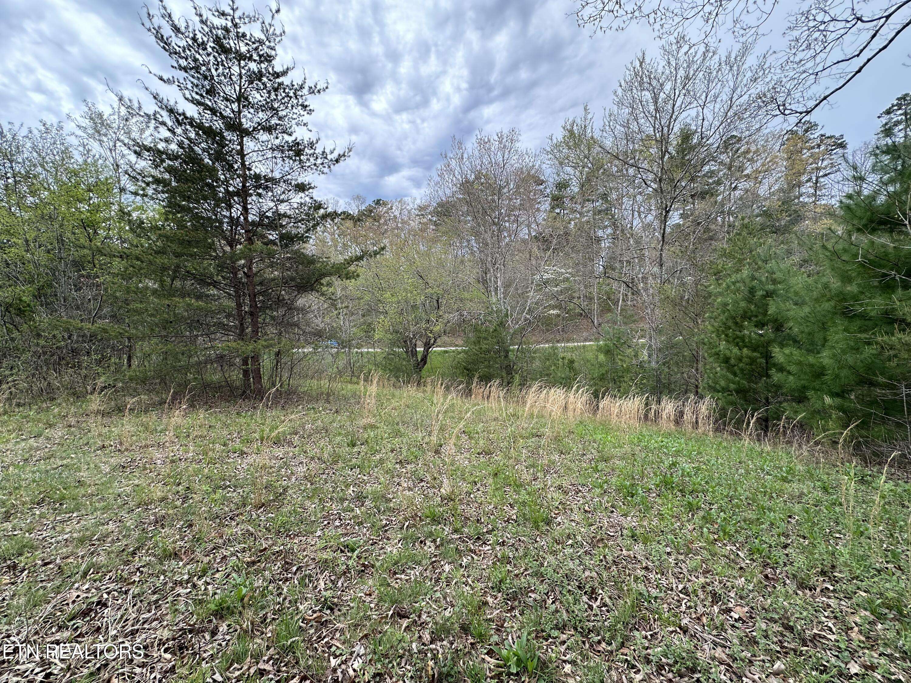 Tellico Plains, TN 37385,000 Epperson Rd