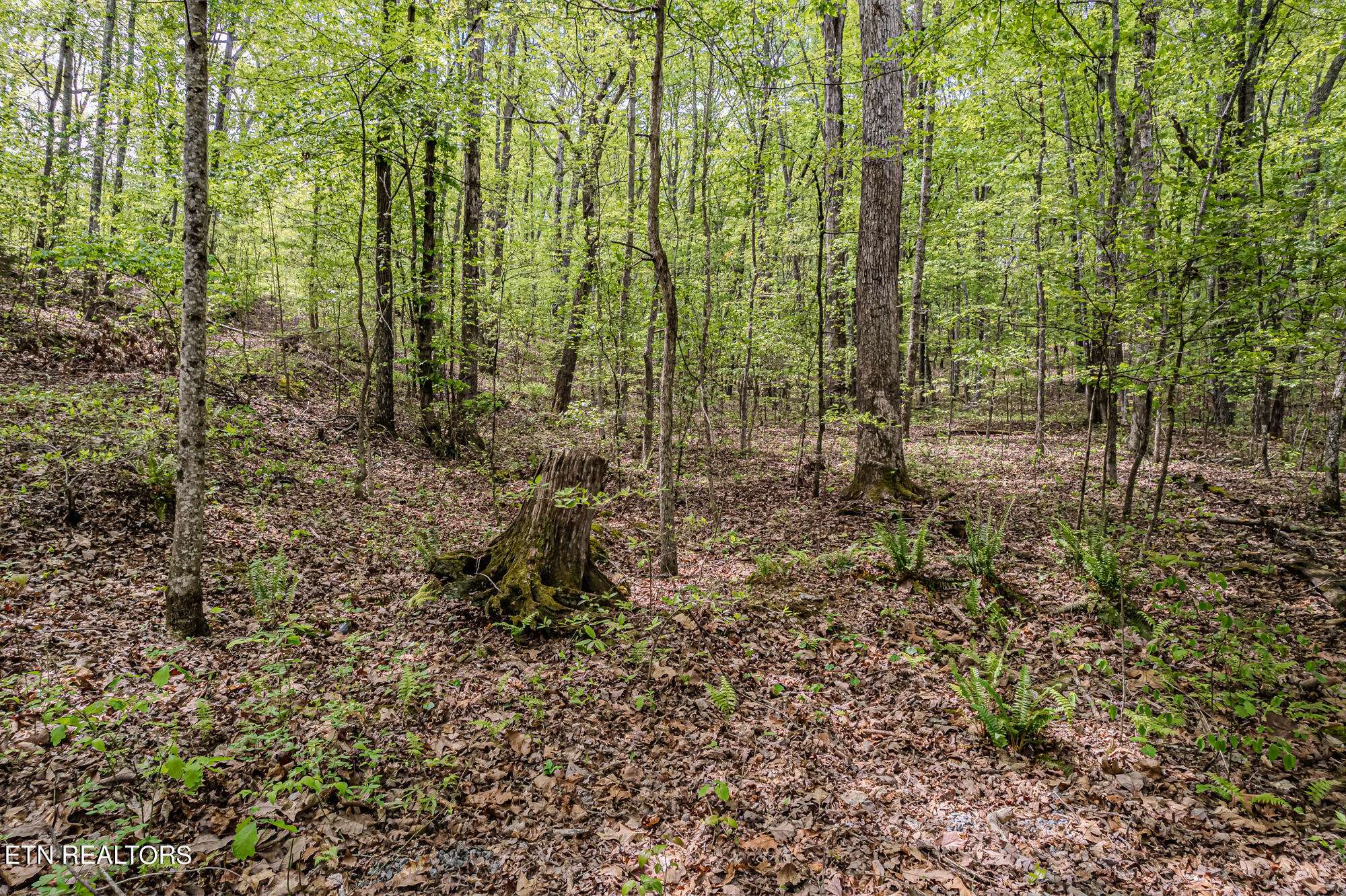 Ten Mile, TN 37880,00 Euchee Rd