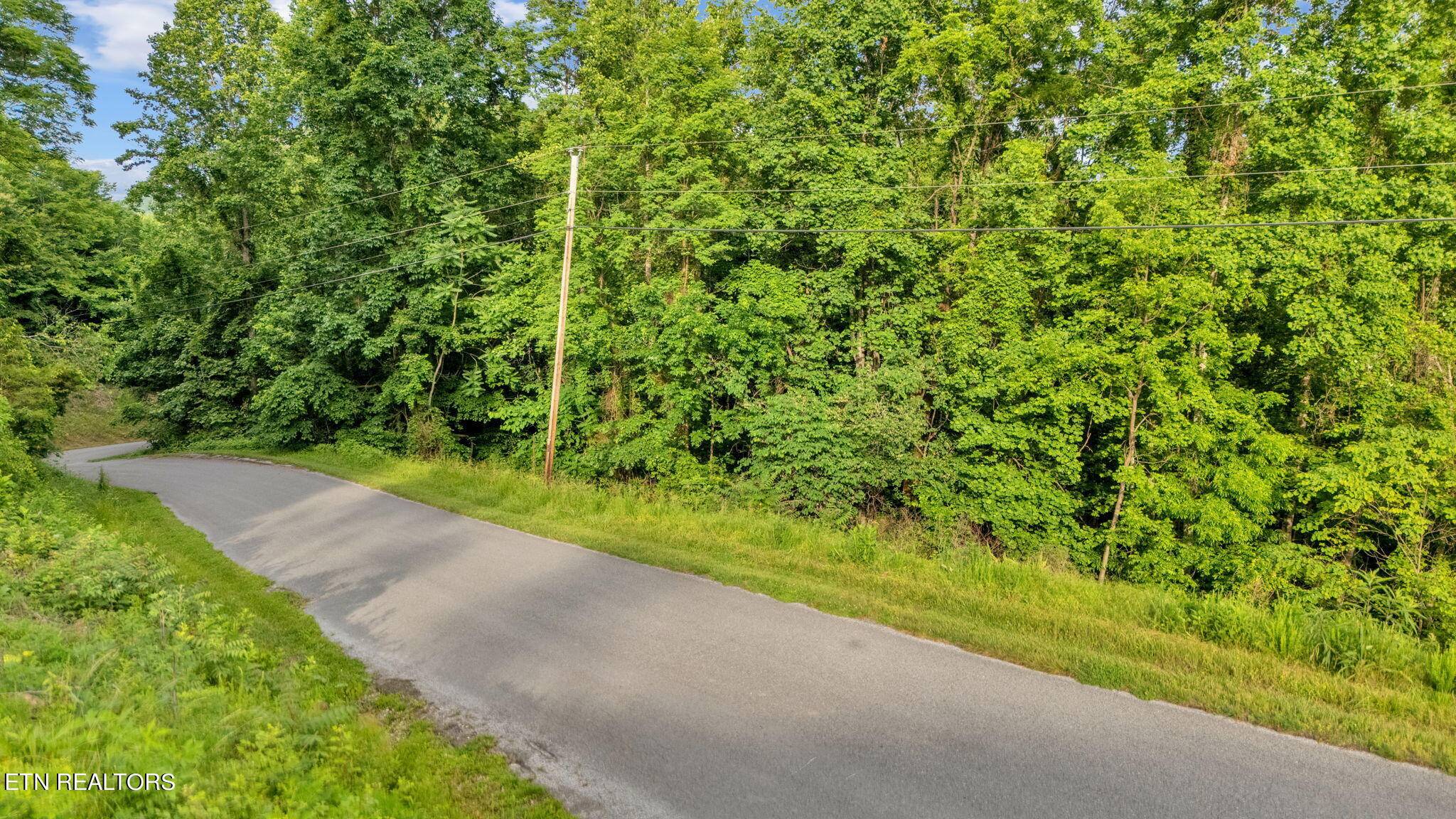 New Tazewell, TN 37825,Lot 95 Chimney Rock Road