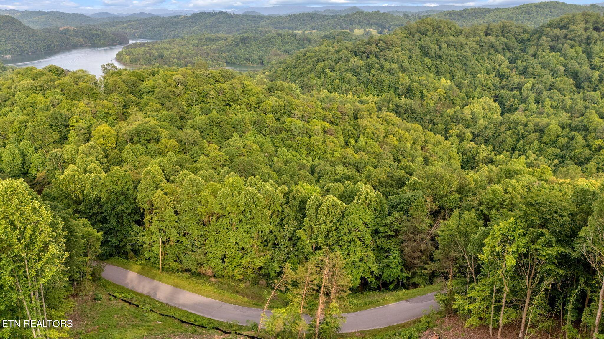 New Tazewell, TN 37825,Lot 95 Chimney Rock Road