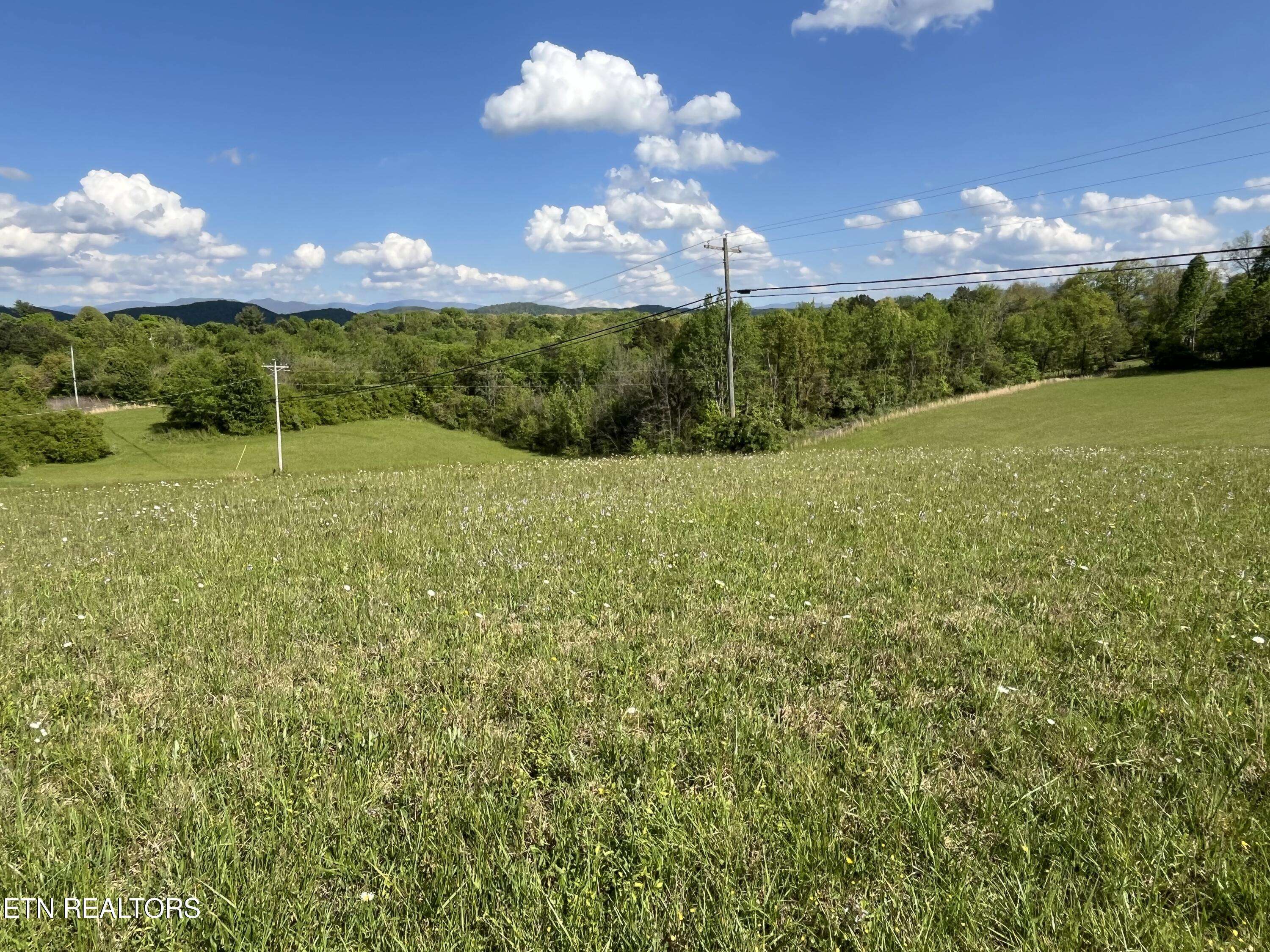 Tellico Plains, TN 37385,5AC Fairview Rd