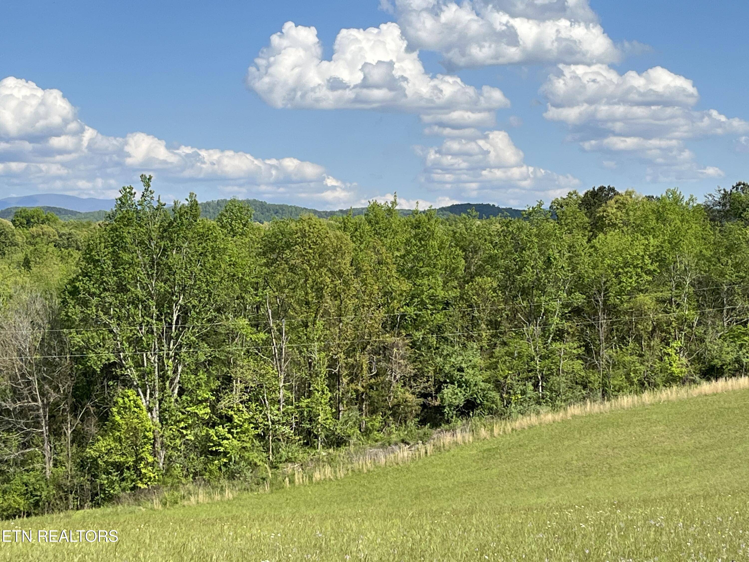 Tellico Plains, TN 37385,5AC Fairview Rd