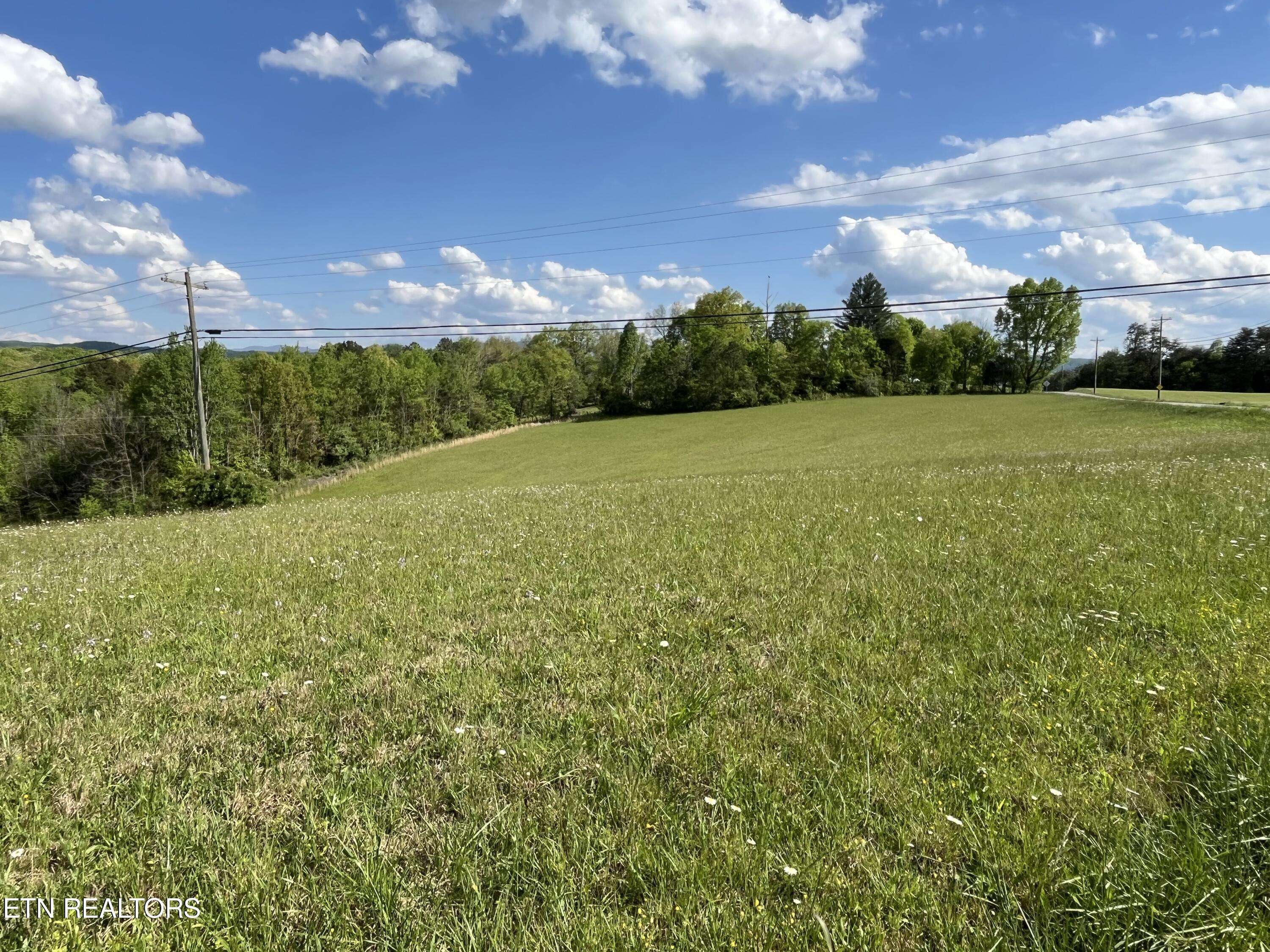 Tellico Plains, TN 37385,5AC Fairview Rd