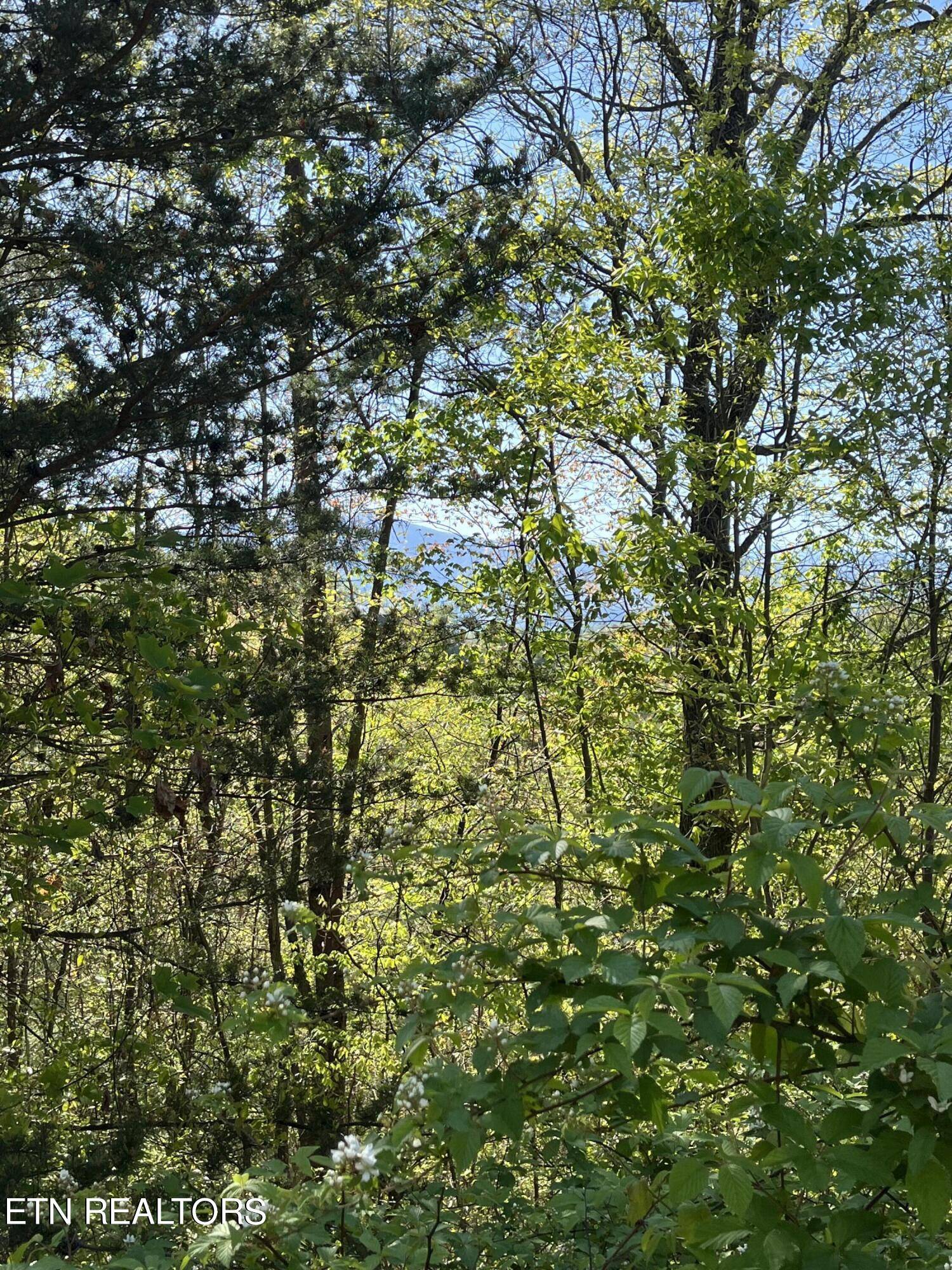 Sevierville, TN 37862,Lot 155E Harmony Hill LN