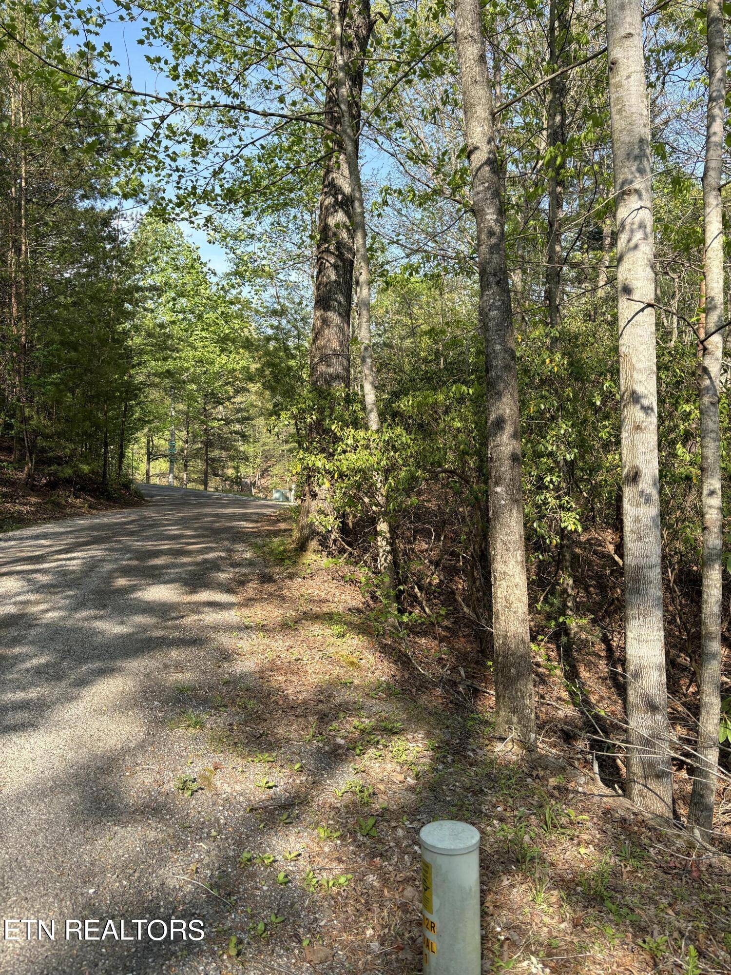 Tellico Plains, TN 37385,Smithfield Rd