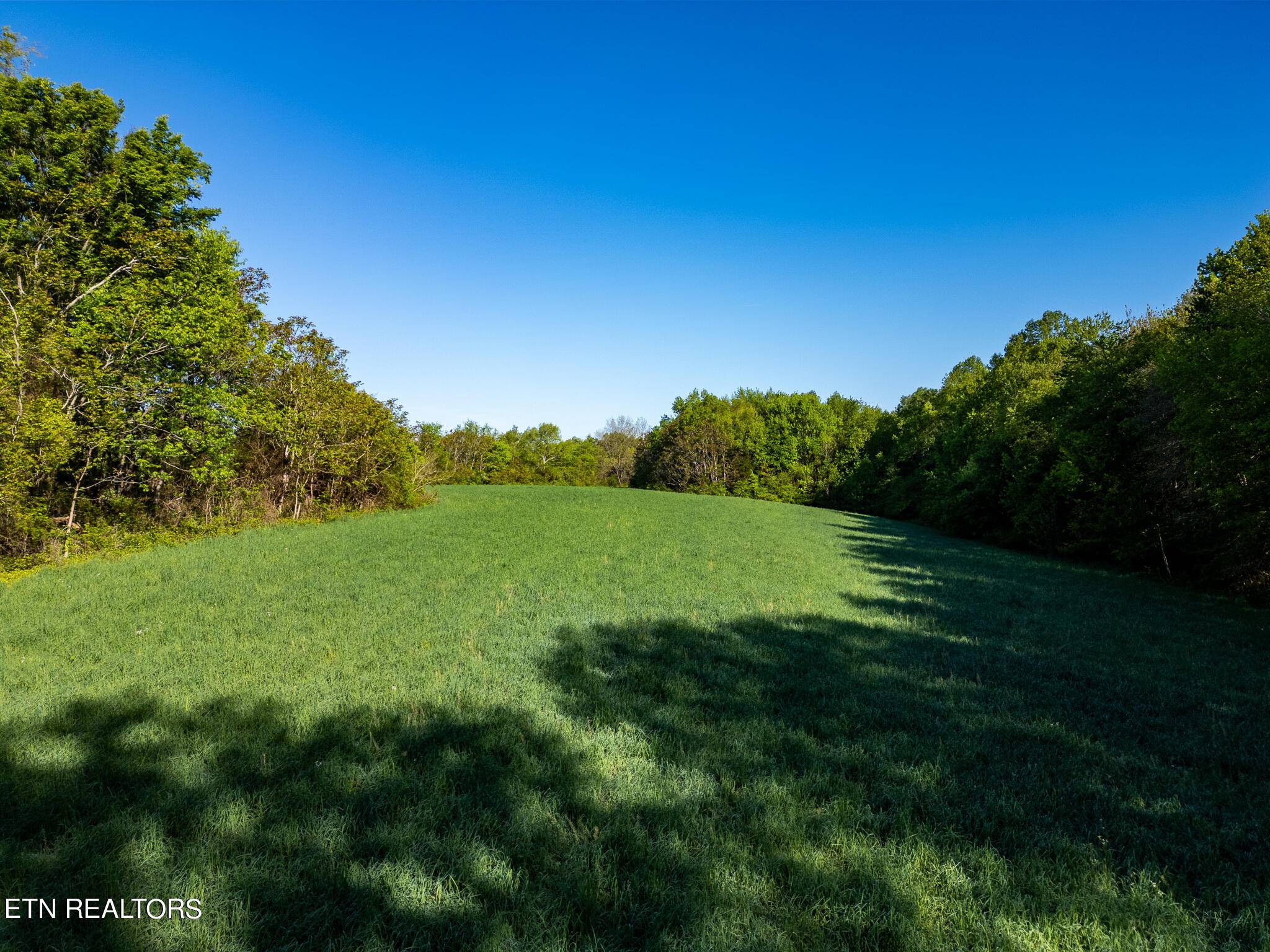 Sparta, TN 38583,14 Acres Old Smithville Hwy