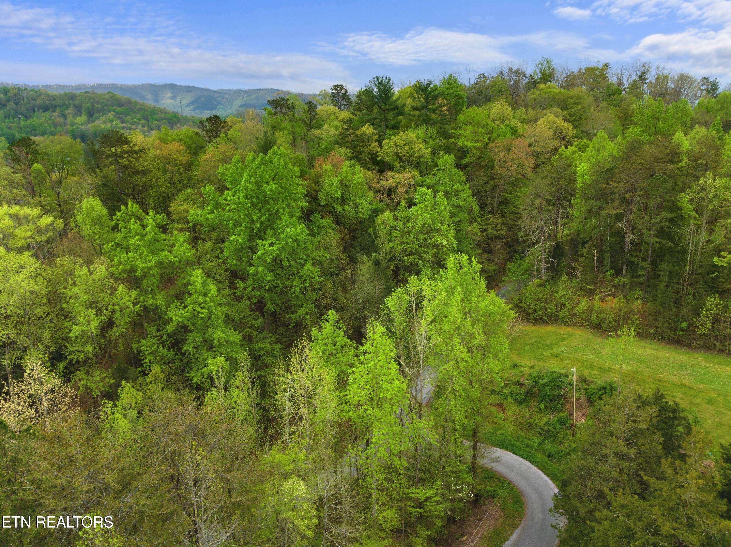 Cosby, TN 37722,Lot 40-42 Rivers Edge DR