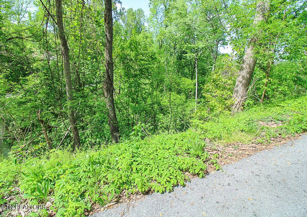 Gatlinburg, TN 37738,Lot 579 Crooked Ridge Rd