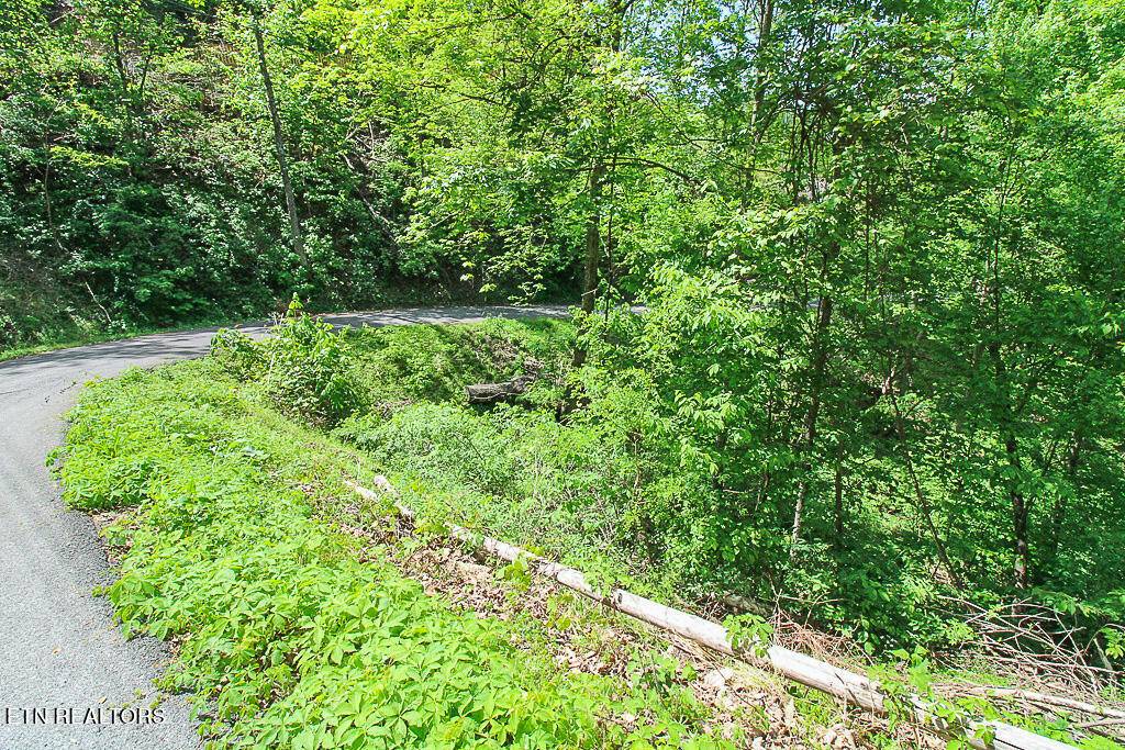 Gatlinburg, TN 37738,Lot 579 Crooked Ridge Rd