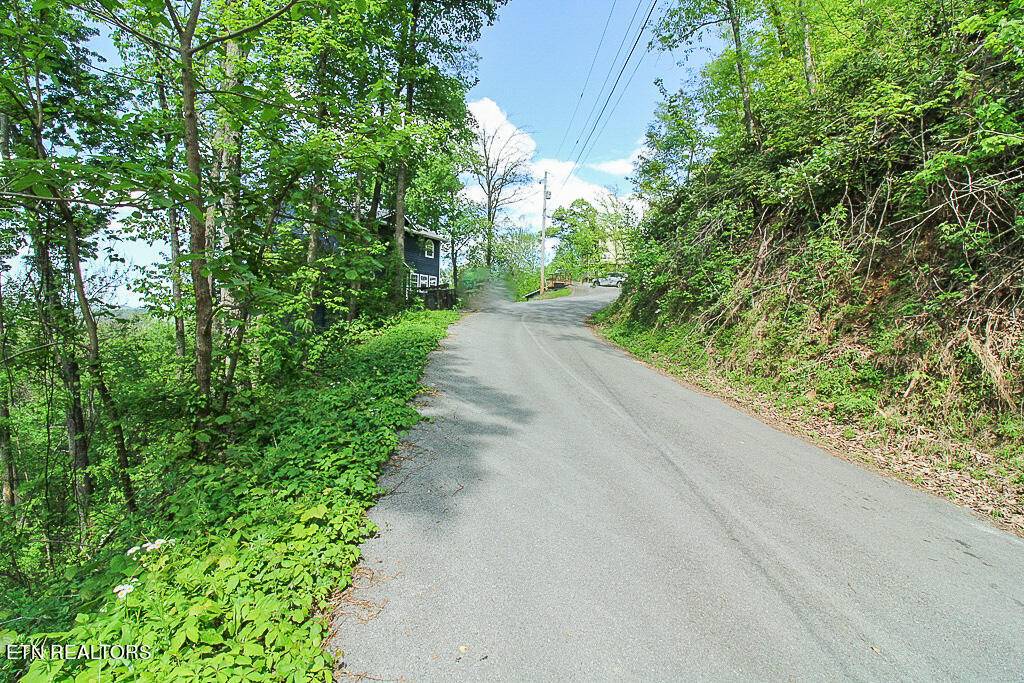 Gatlinburg, TN 37738,Lot 579 Crooked Ridge Rd