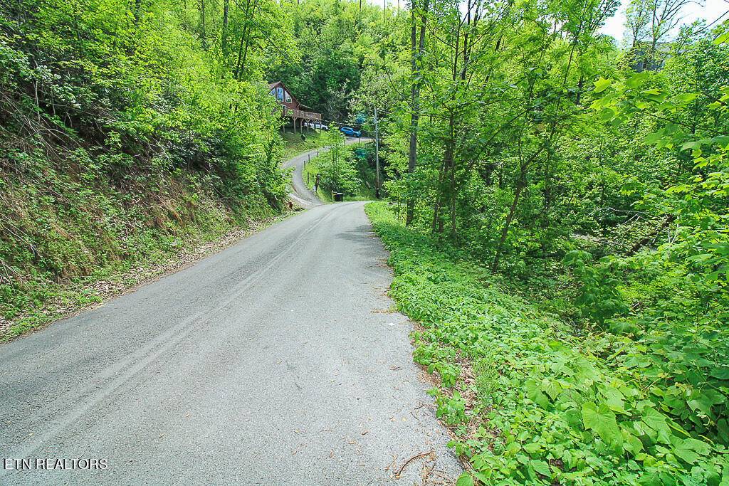 Gatlinburg, TN 37738,Lot 579 Crooked Ridge Rd