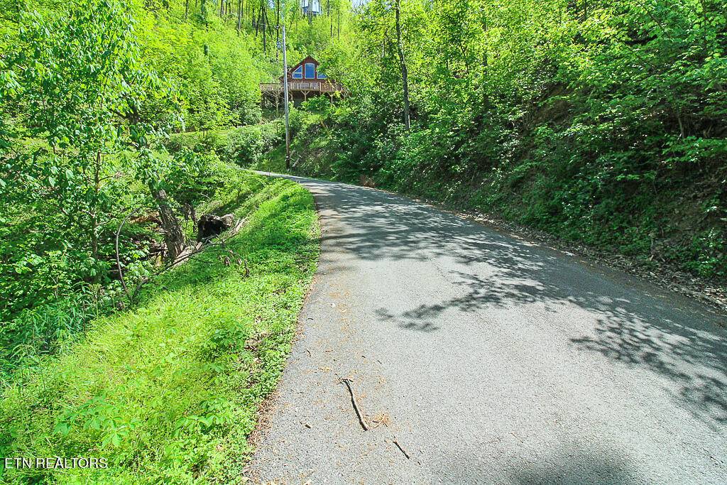 Gatlinburg, TN 37738,Lot 579 Crooked Ridge Rd