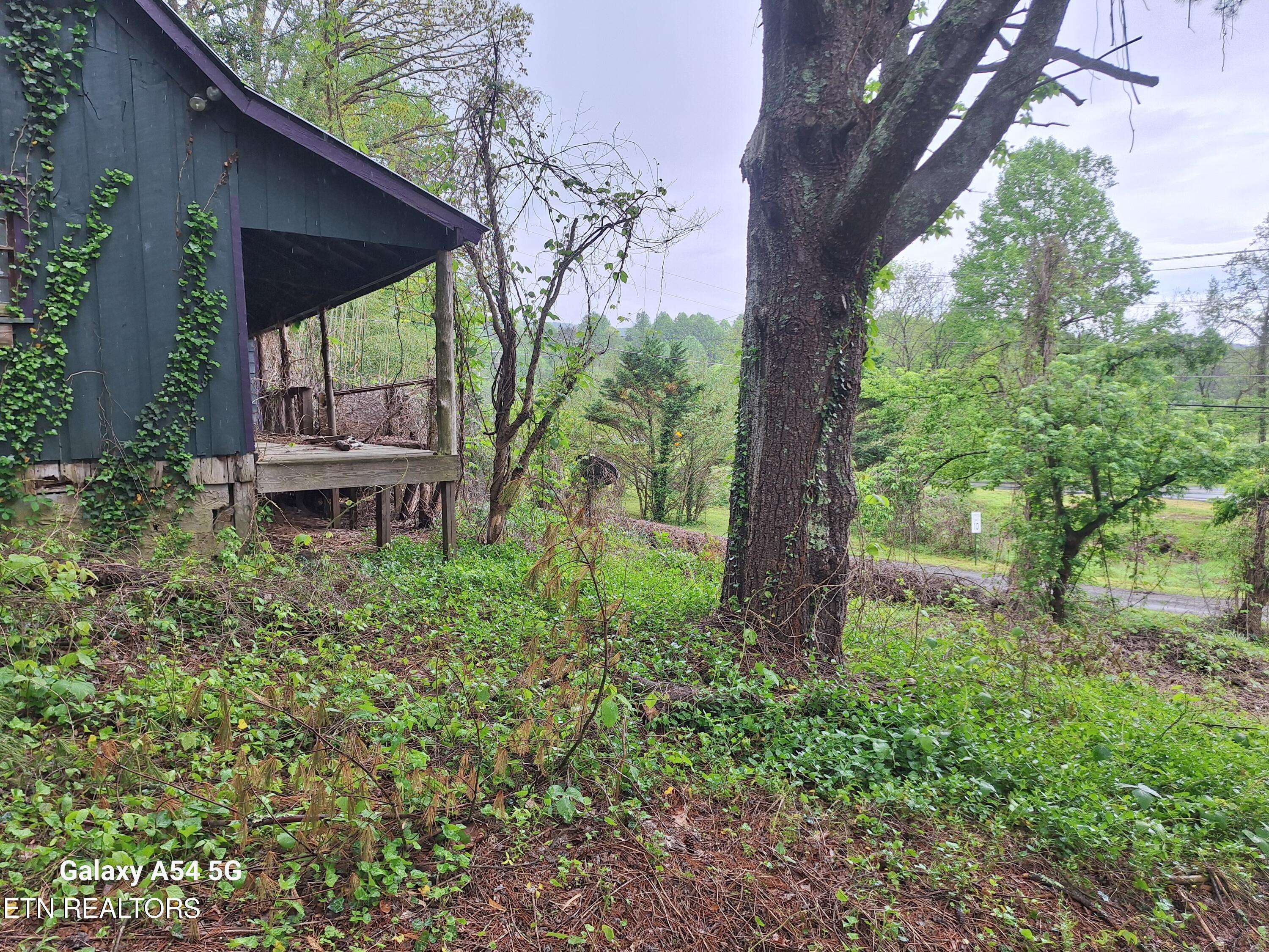 Walland, TN 37886,5303 Dalton LN