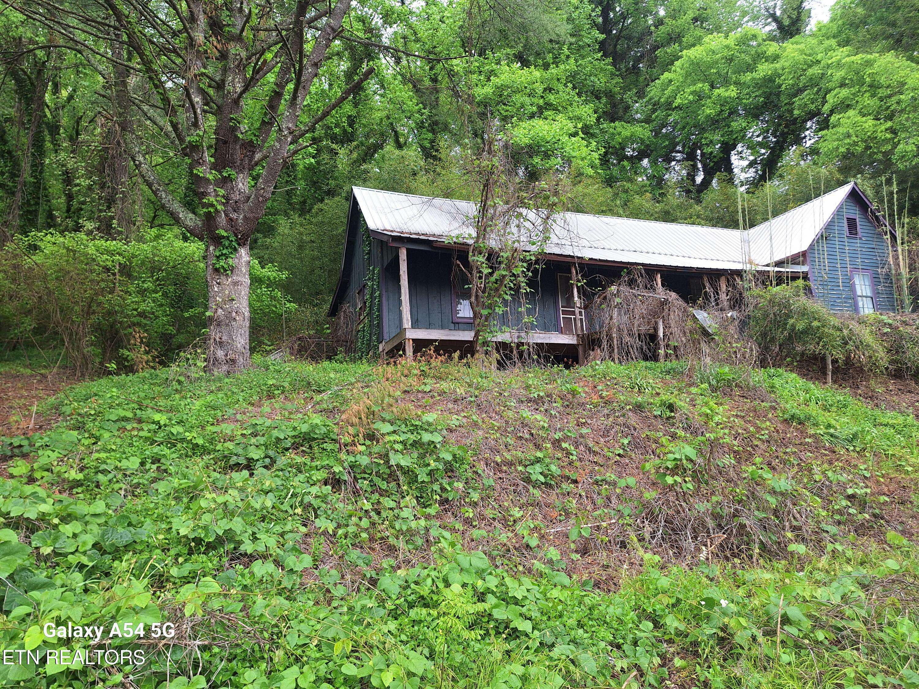 Walland, TN 37886,5303 Dalton LN