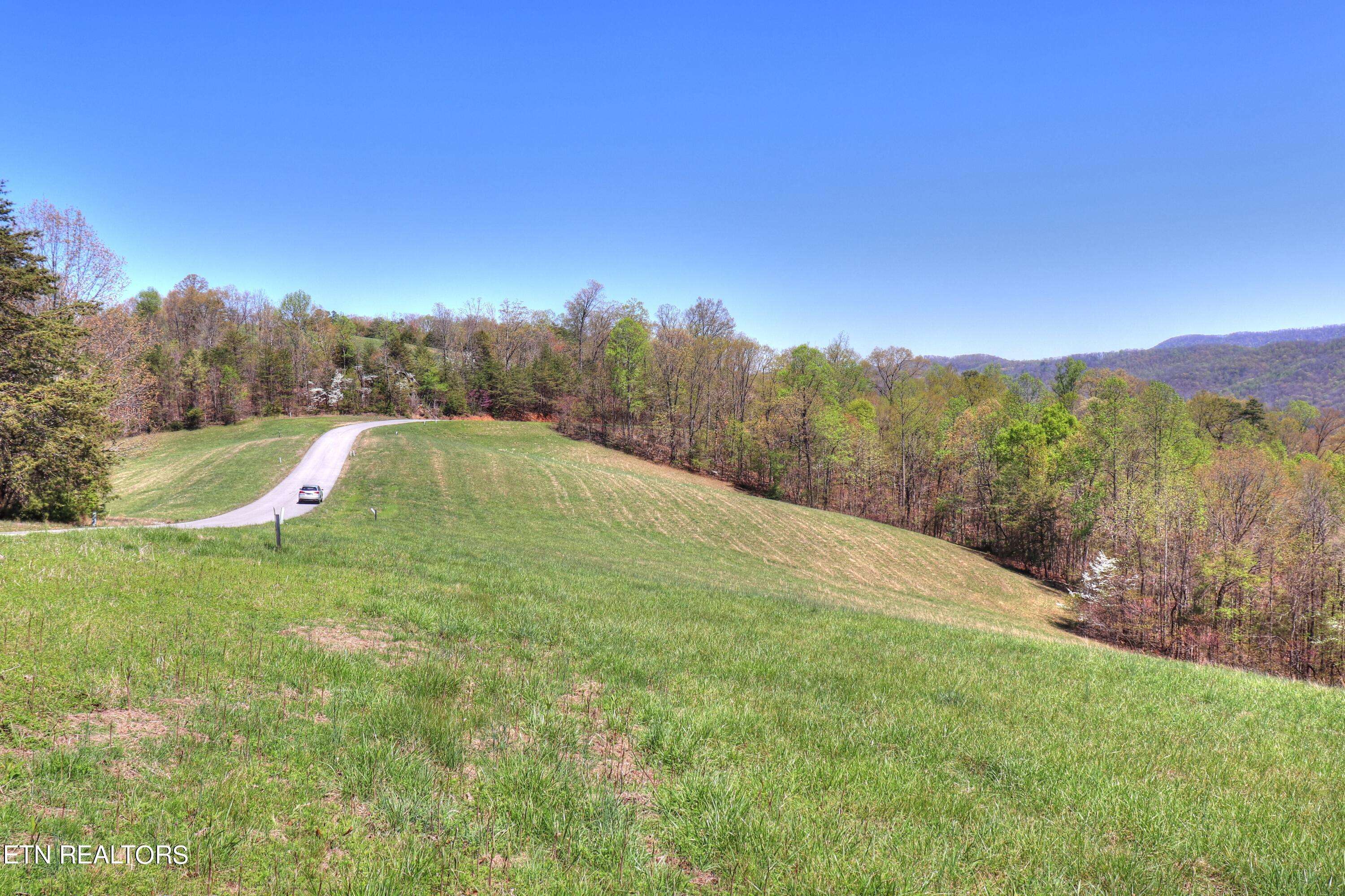 New Tazewell, TN 37825,Lot 49 Topaz LN