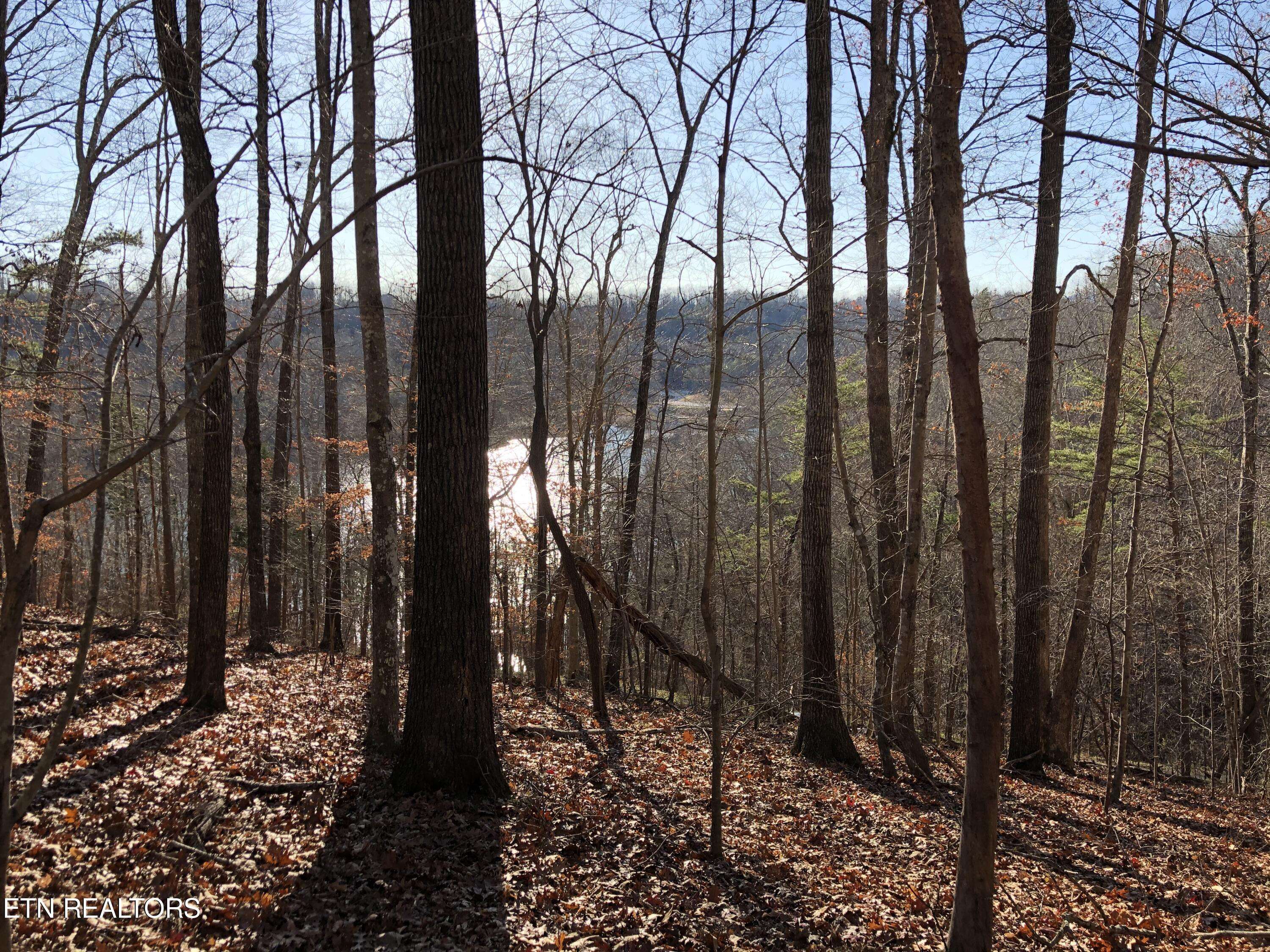 Lafollette, TN 37766,Lot 51 Harbor LN