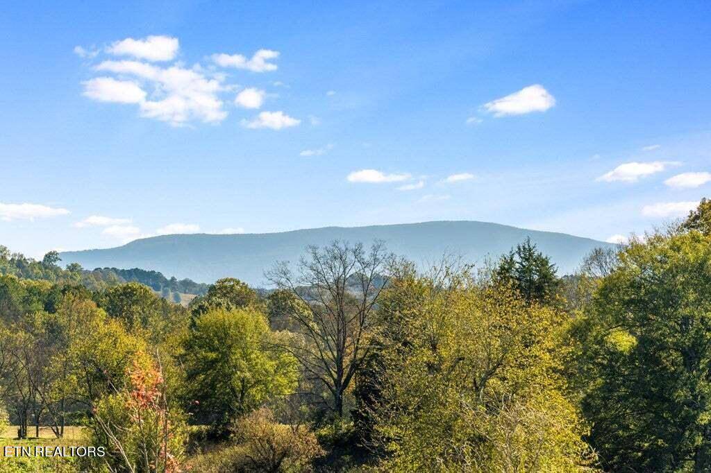 Charleston, TN 37310,Lot 18 Mountain Meadows Estate