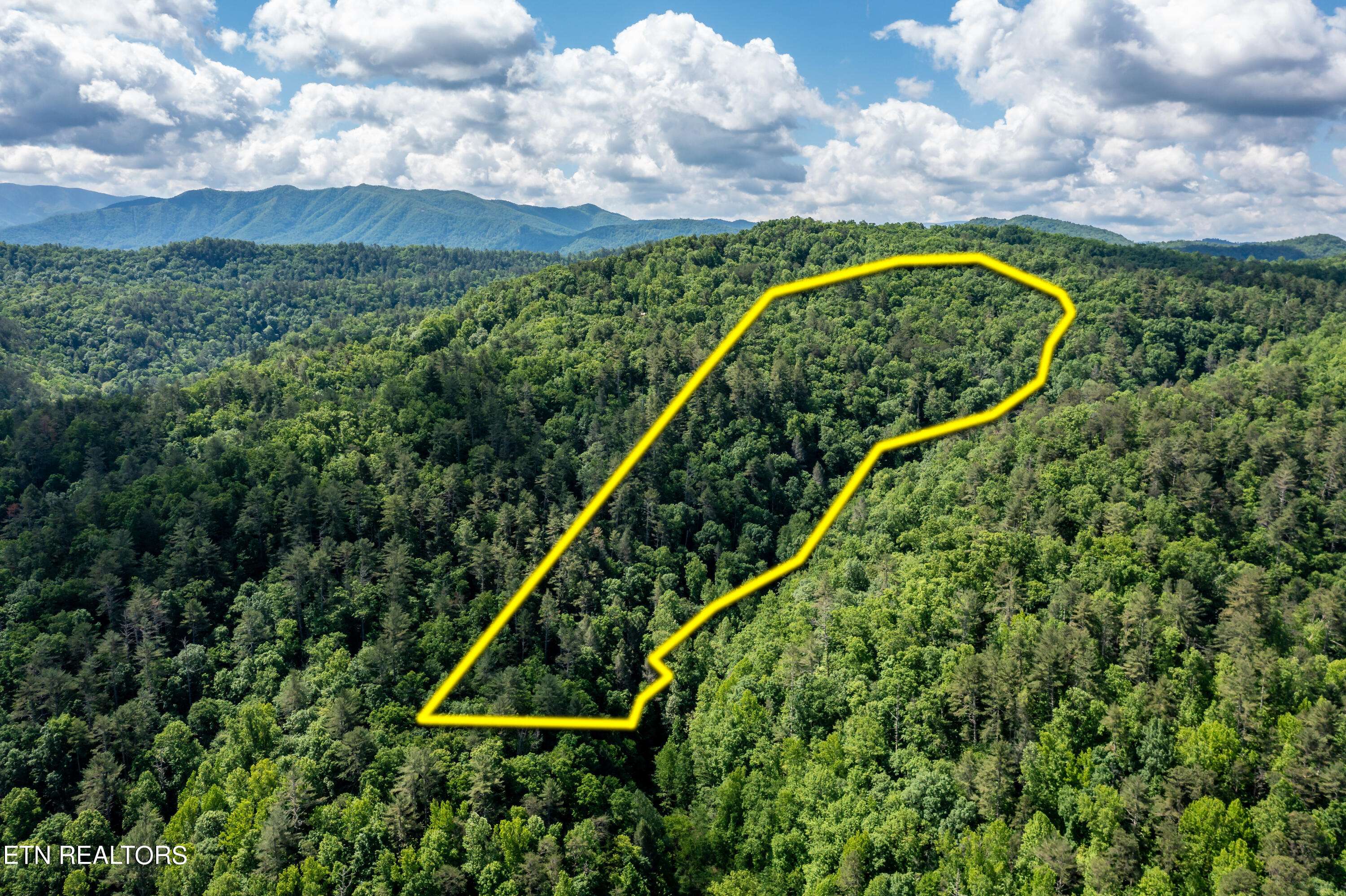 Walland, TN 37886,Lamar Alexander- 22.27 Acres Pkwy