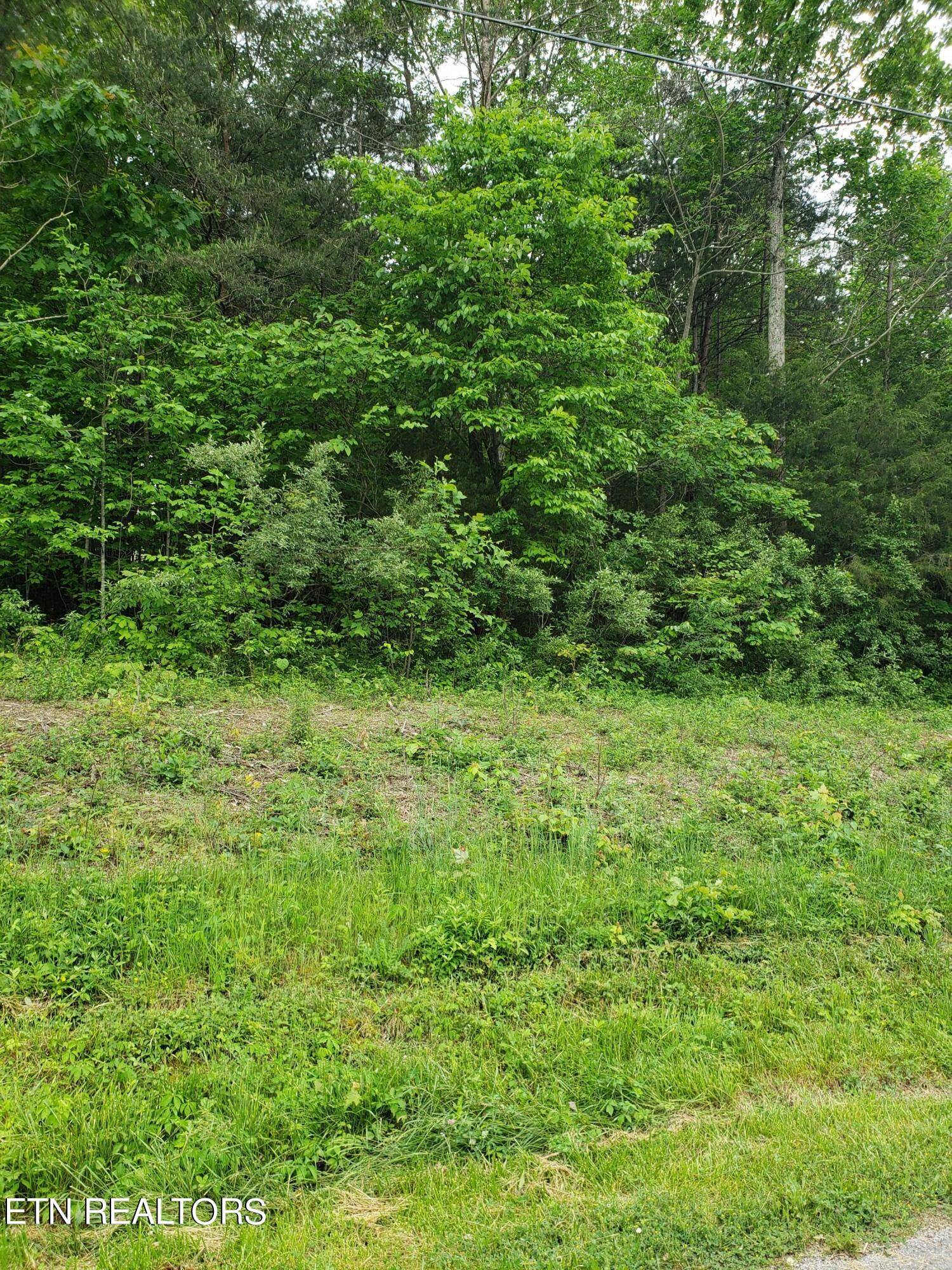 Speedwell, TN 37870,Lot 22 Lonesome Dove LN