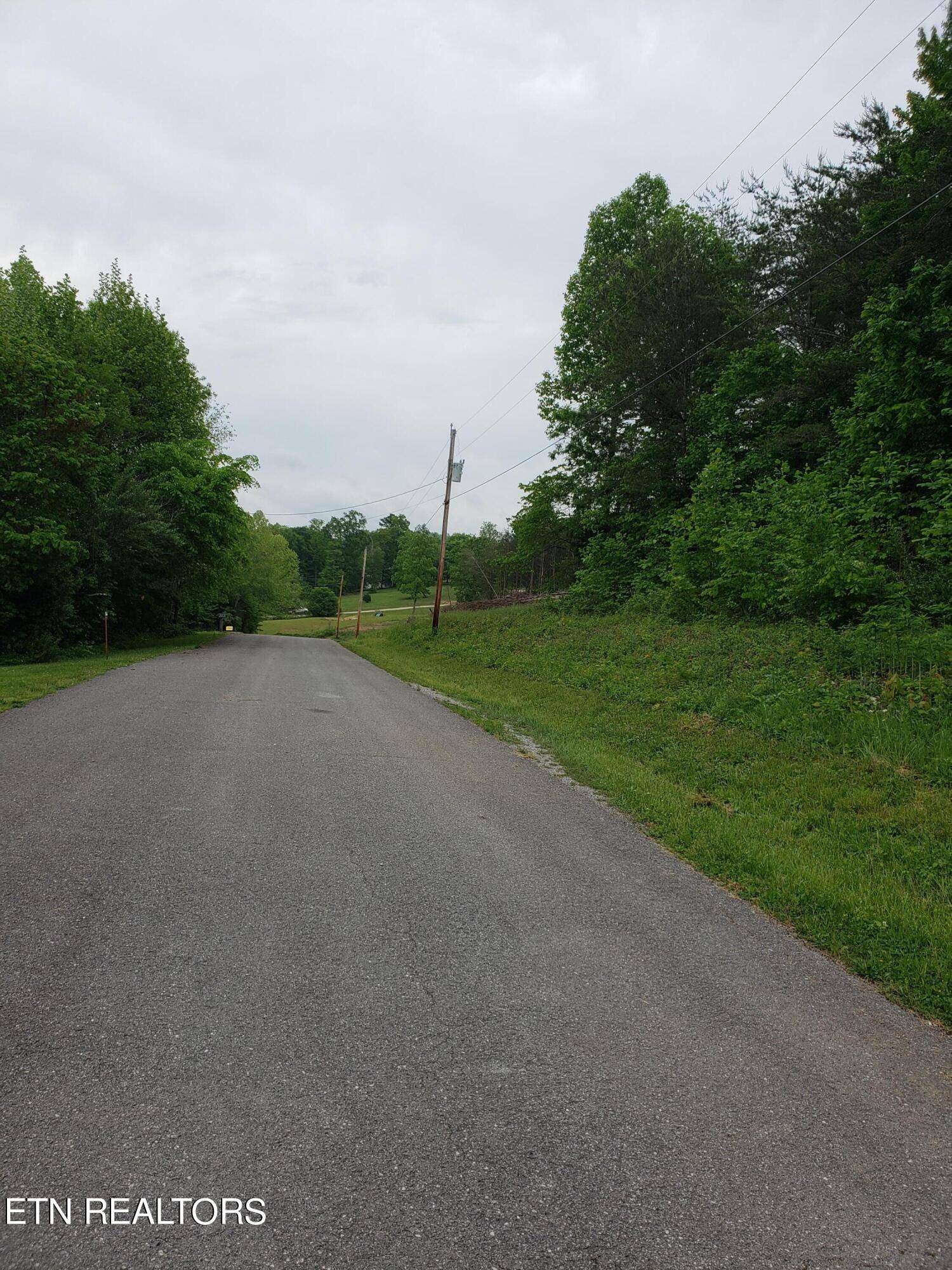 Speedwell, TN 37870,Lot 22 Lonesome Dove LN