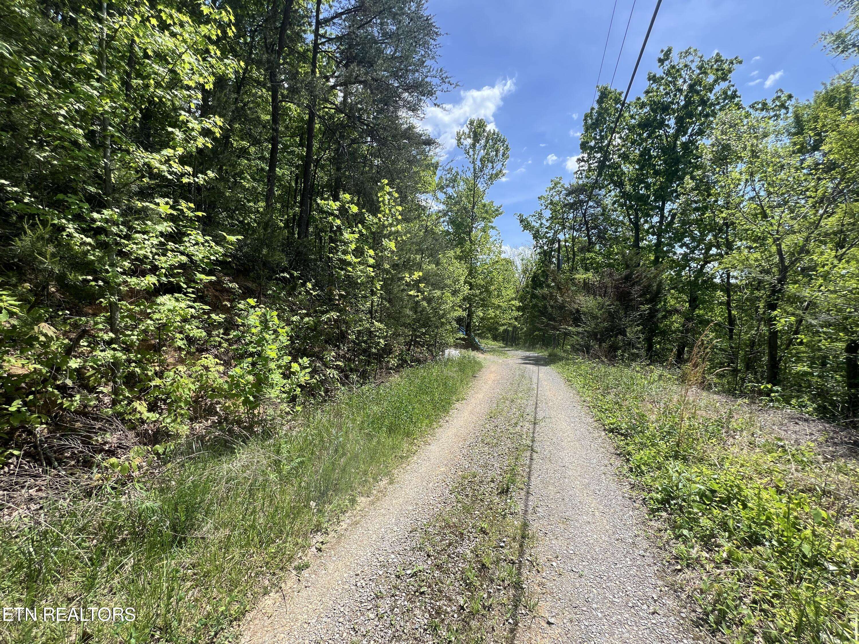 Sevierville, TN 37876,Lot 81 Yellowwod DR