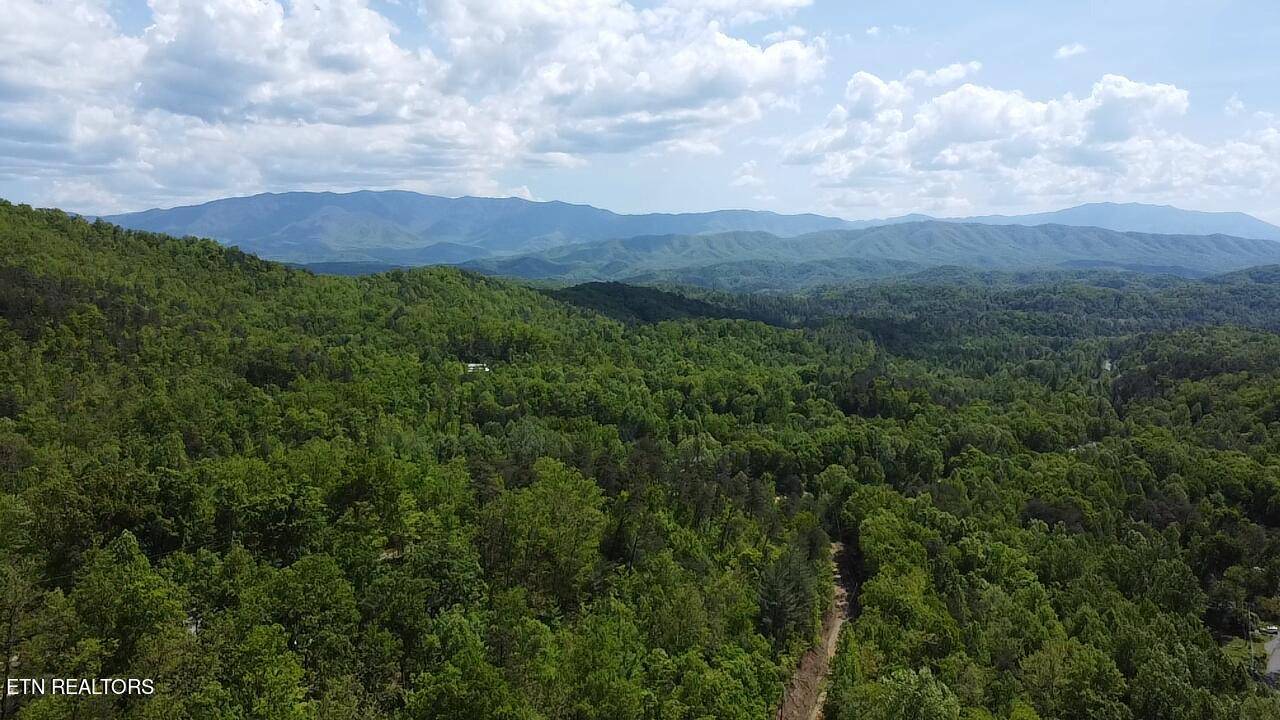 Sevierville, TN 37876,Lot 81 Yellowwod DR