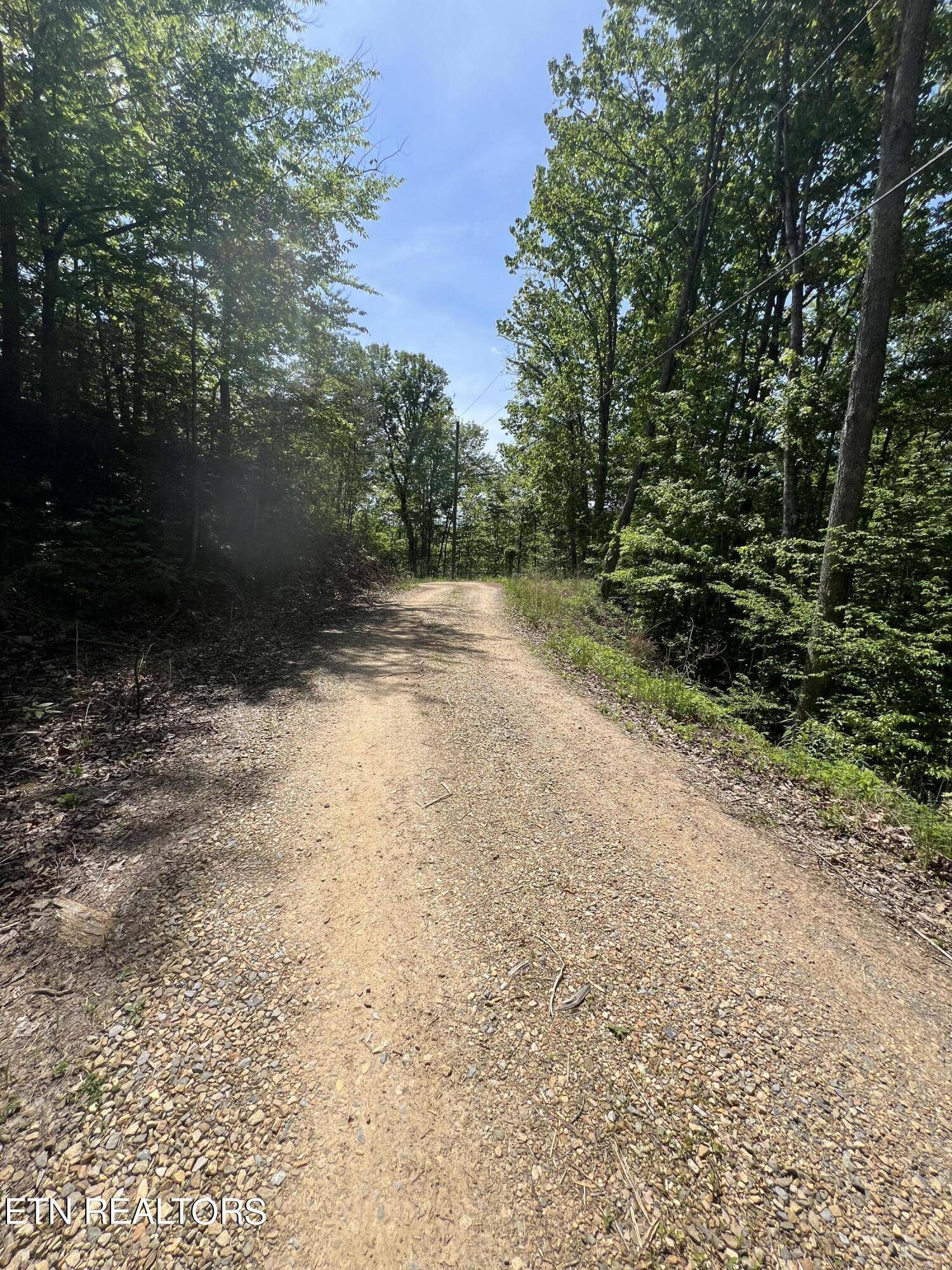 Sevierville, TN 37876,lot 55 Black Oak / lot 26 Butternut PL