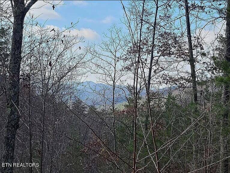 Sevierville, TN 37862,3311 Summit Trails DR