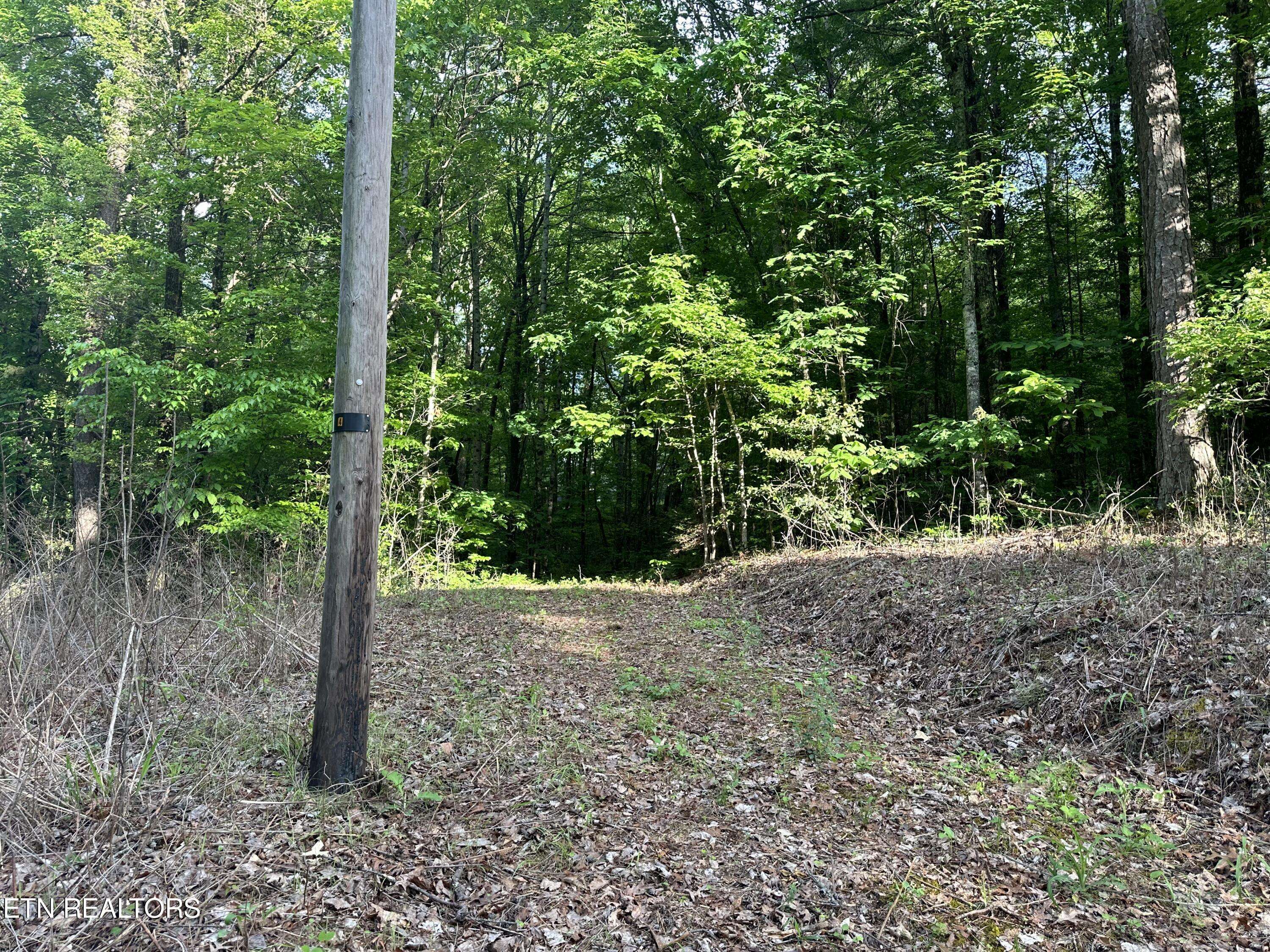 Tellico Plains, TN 37385,2 Acres - Unrestricted Land - Graves Rd