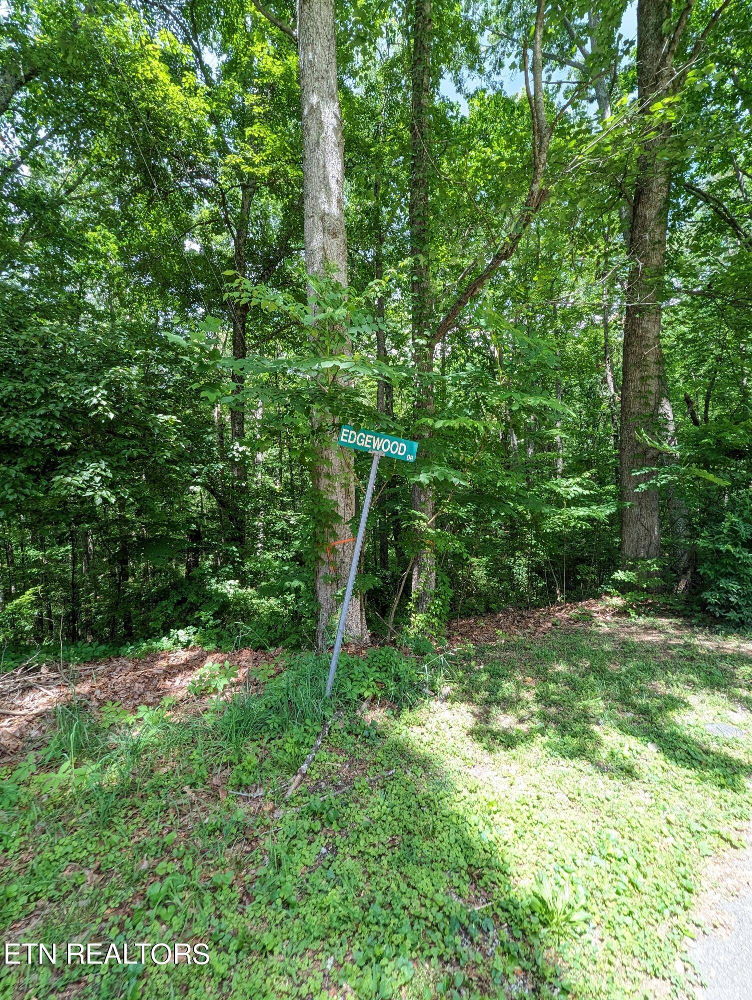 Powell, TN 37849,Edgewood Heights LN