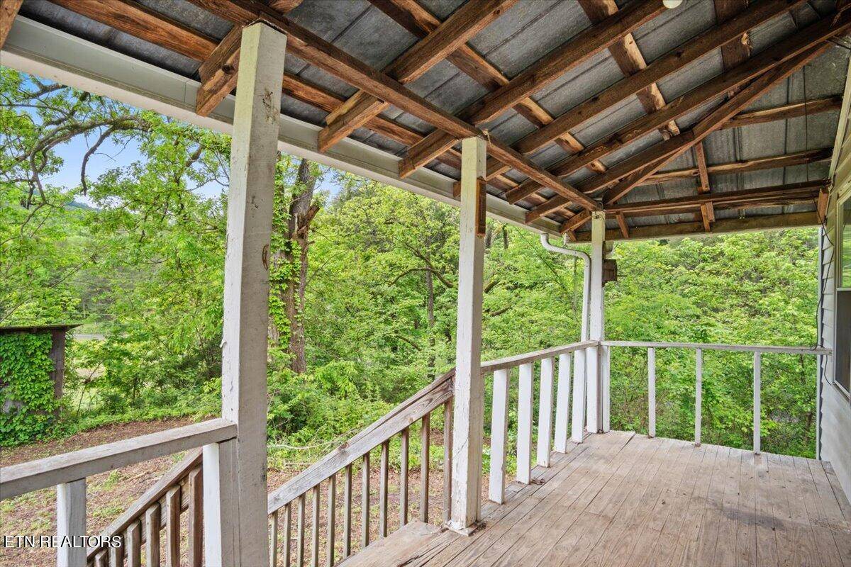 New Tazewell, TN 37825,739 Loop Hollow Rd