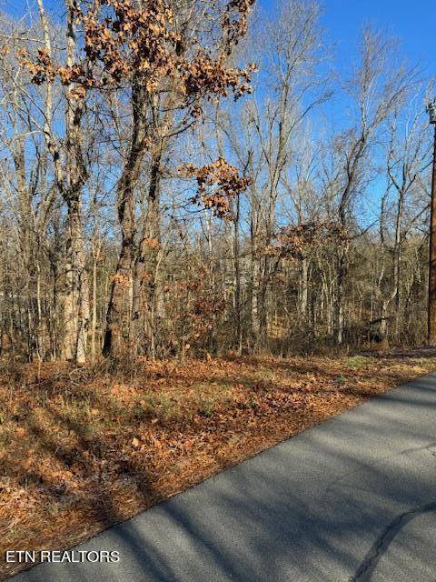 Baneberry, TN 37890,Lot 1015 Mountain View LN