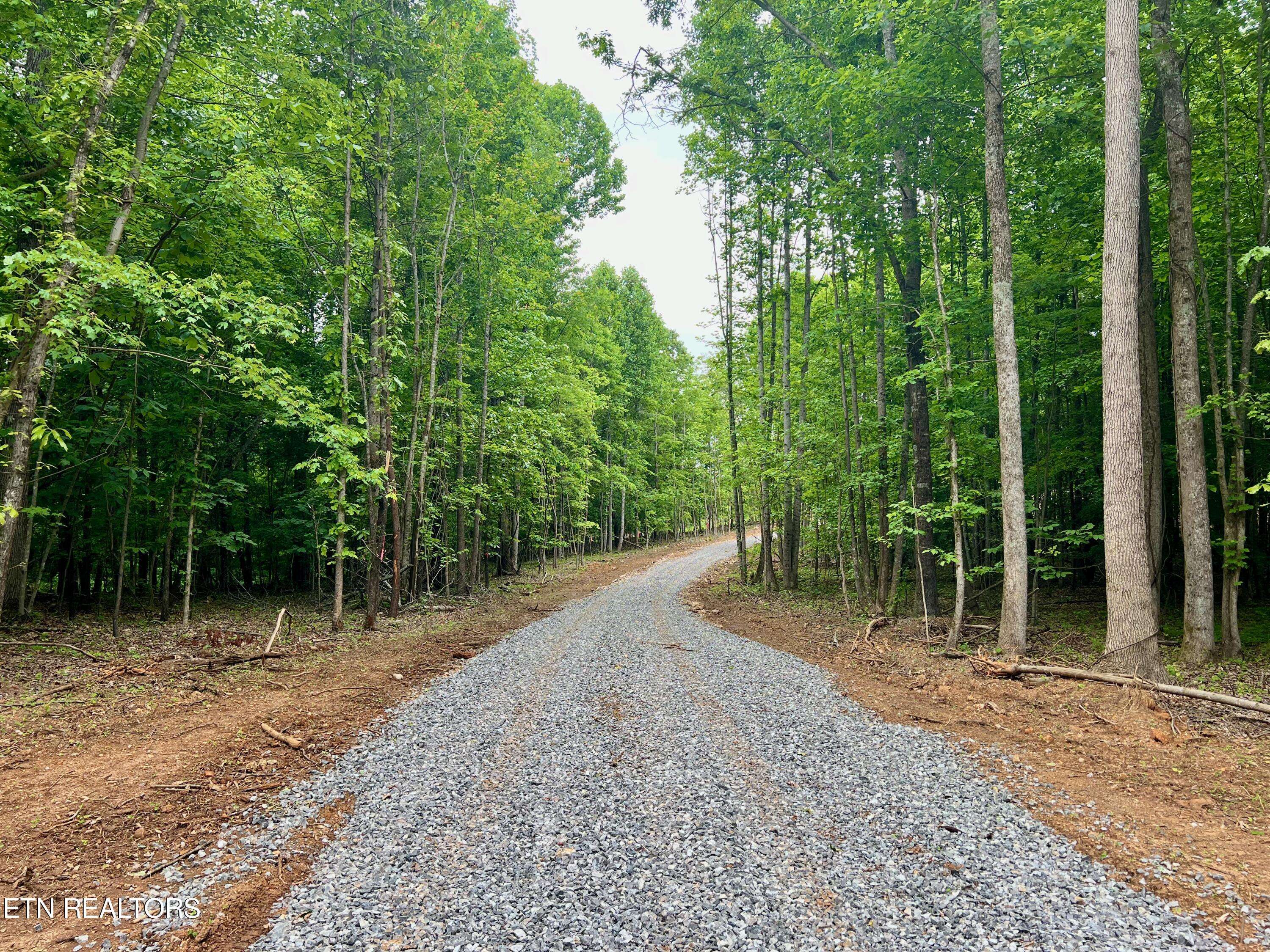 Kingston, TN 37763,Cave Creek Preserve Lot 1