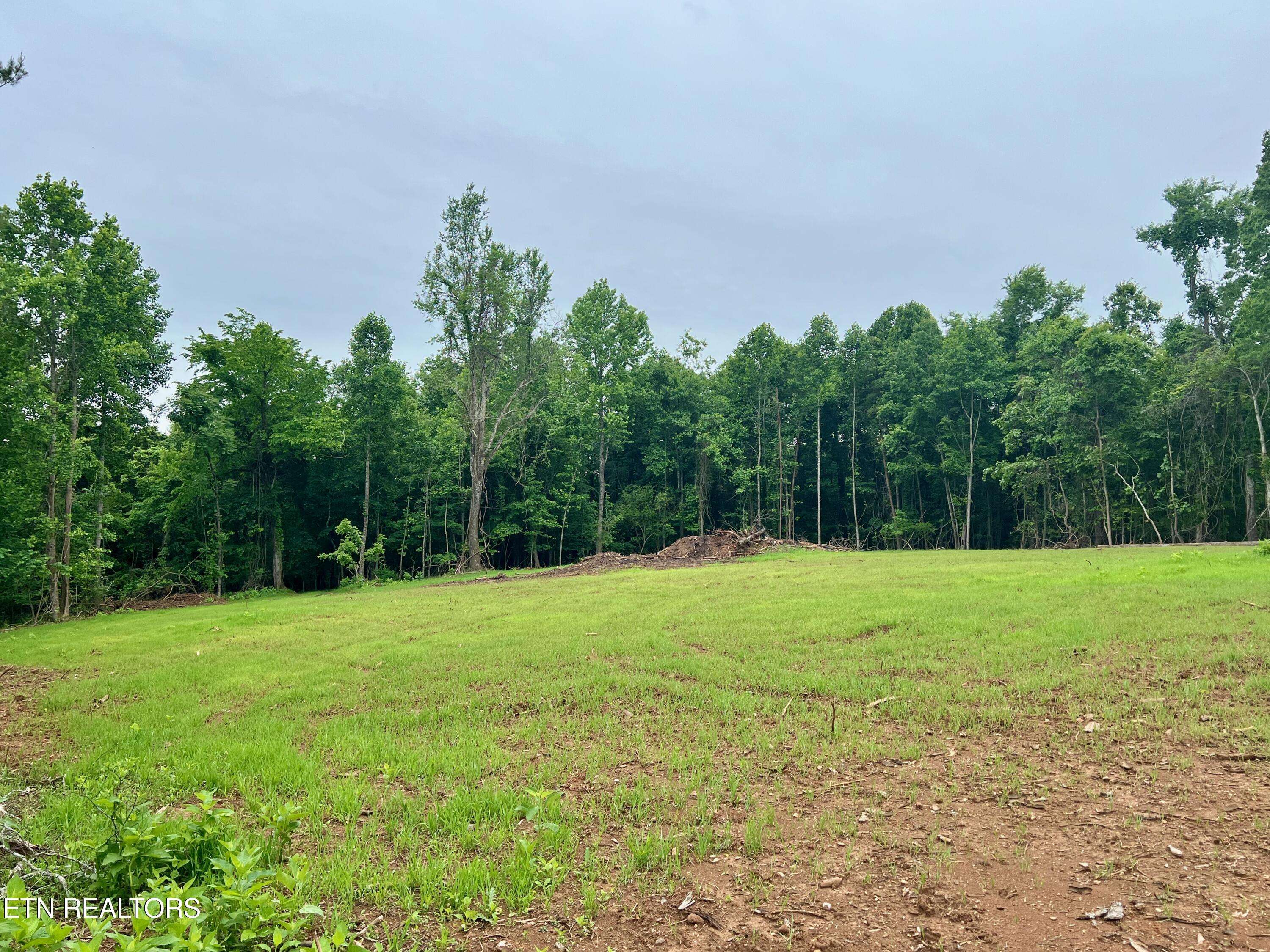 Kingston, TN 37763,Cave Creek Preserve Lot 2