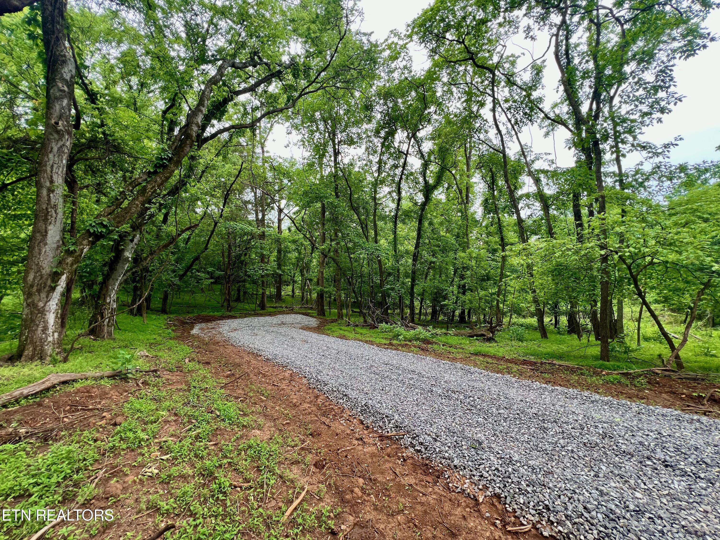 Kingston, TN 37763,Cave Creek Preserve Lot 2