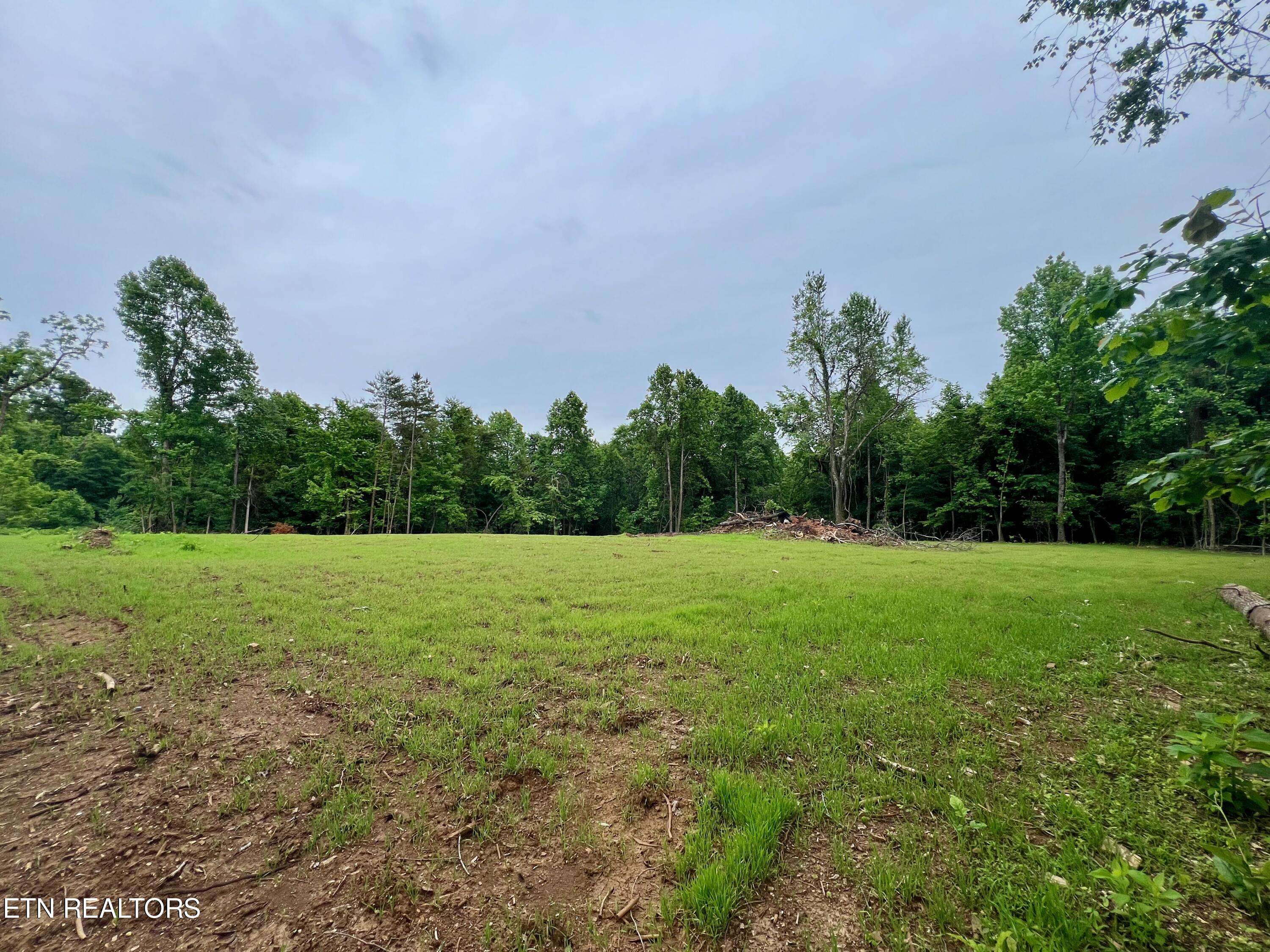 Kingston, TN 37763,Cave Creek Preserve Lot 2