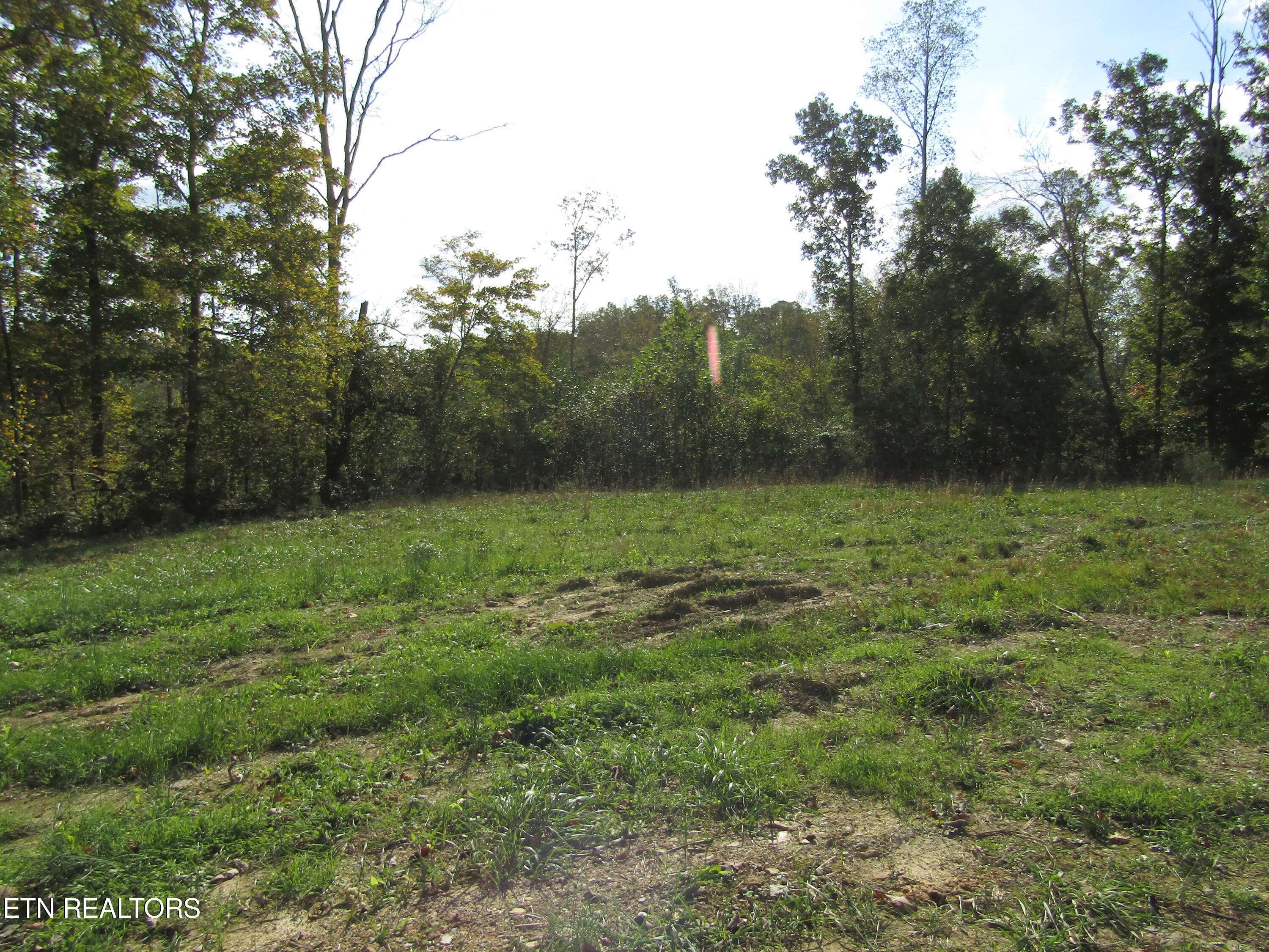 Celina, TN 38551,30.10ac Livingston Hwy