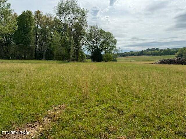 Athens, TN 37371,Hwy 39 - LOT 2