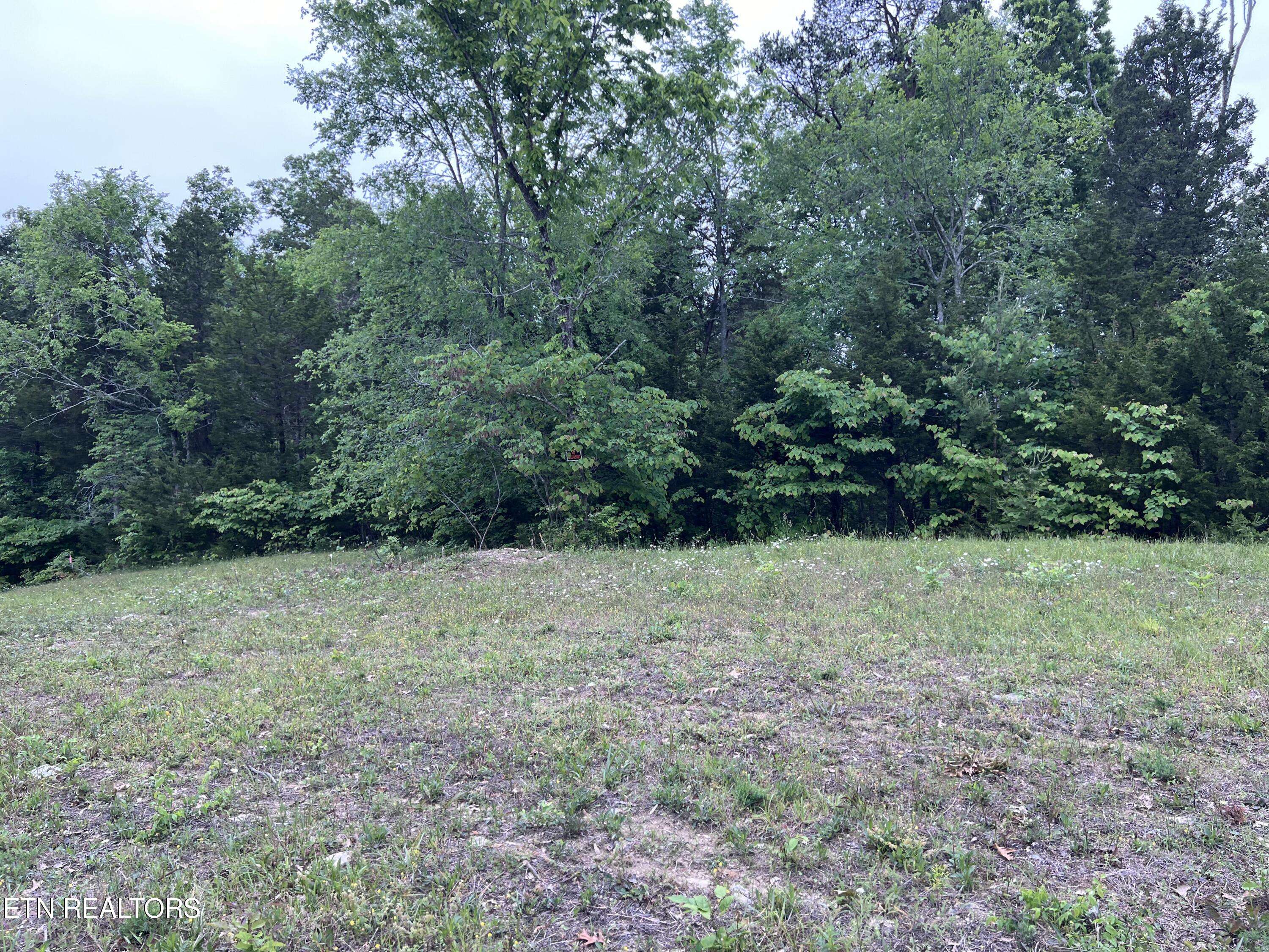 Bulls Gap, TN 37711,Lot 2 Clemon Rd