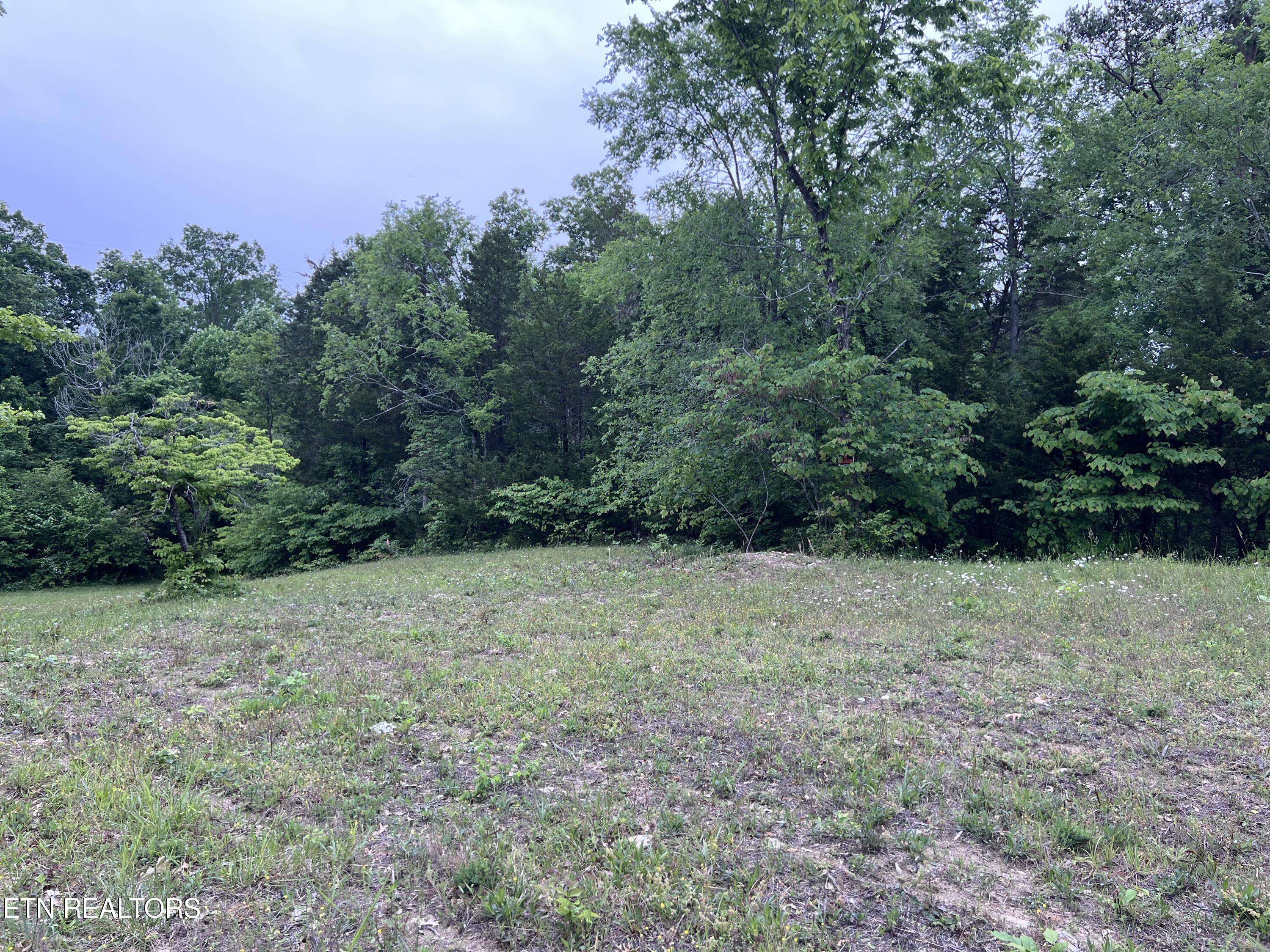 Bulls Gap, TN 37711,Lot 2 Clemon Rd