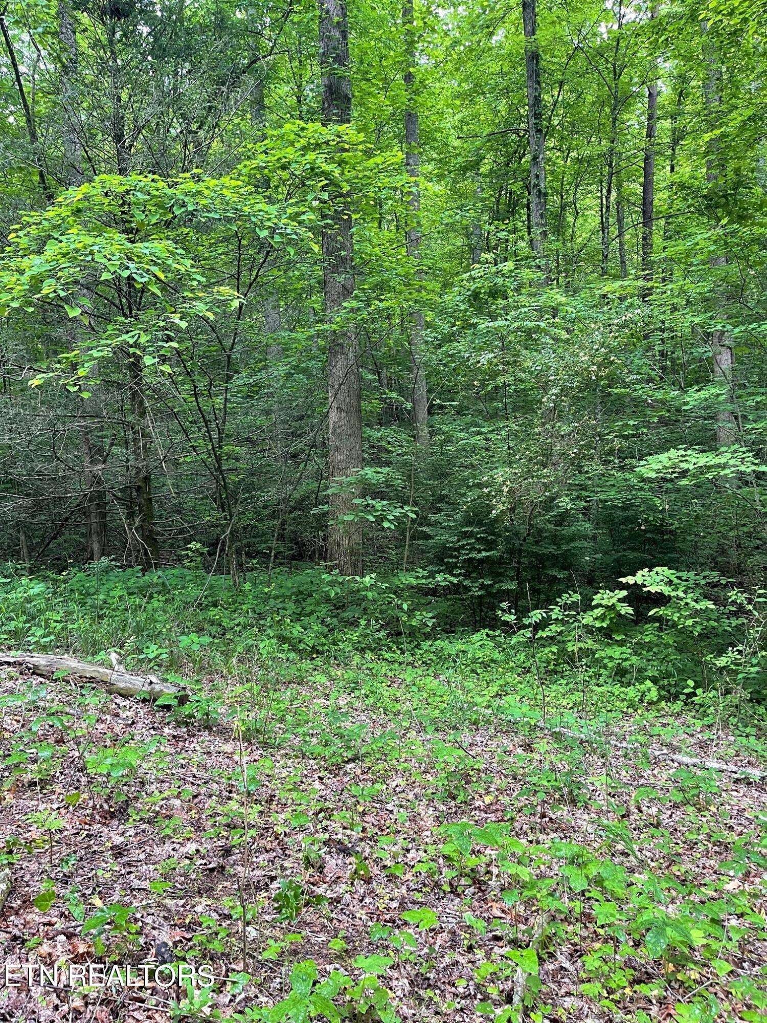 Townsend, TN 37882,Lot 2 Old Cades Cove Rd