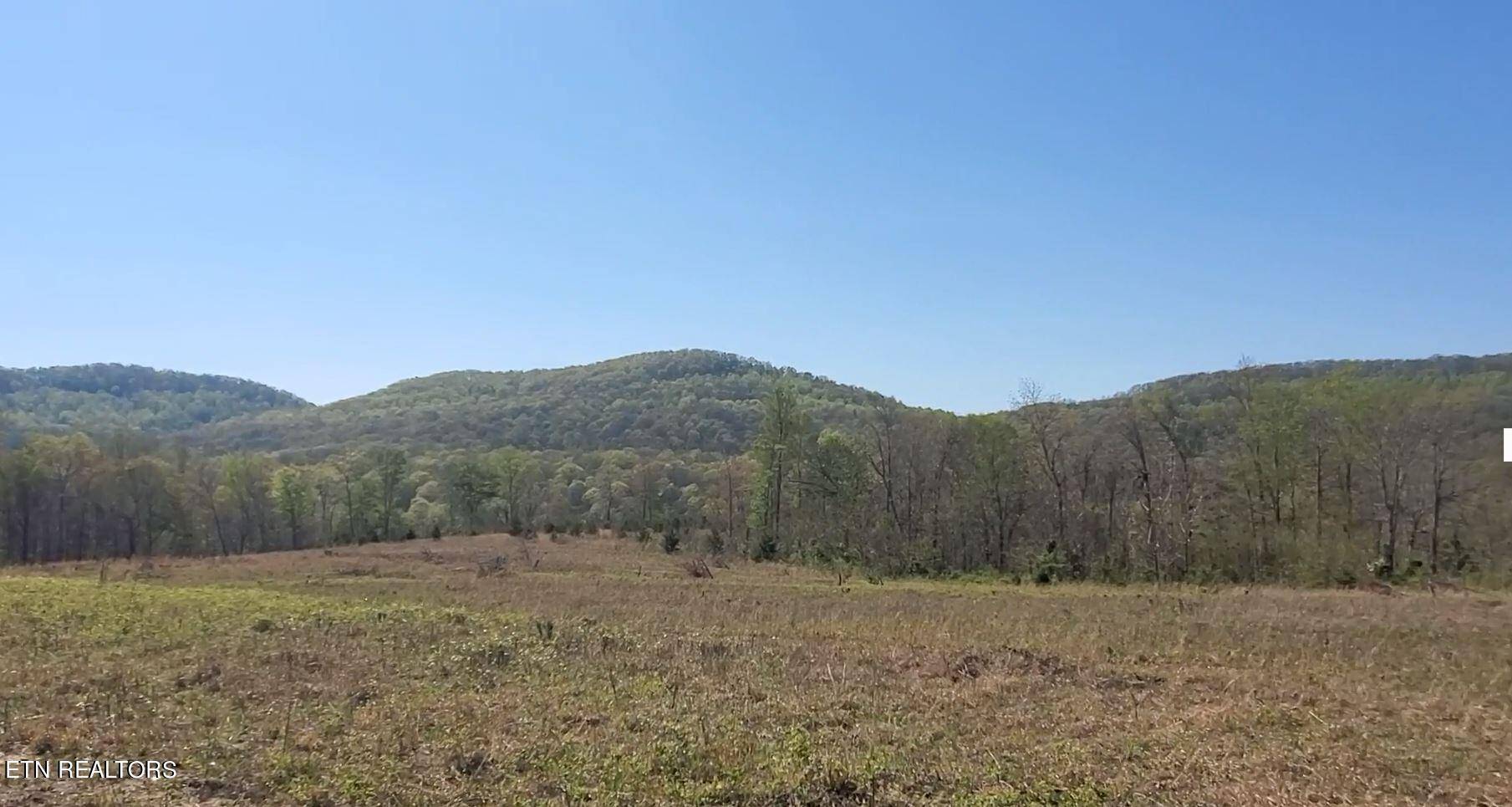 Livingston, TN 38570,Lot 7 Bear Hollow LN