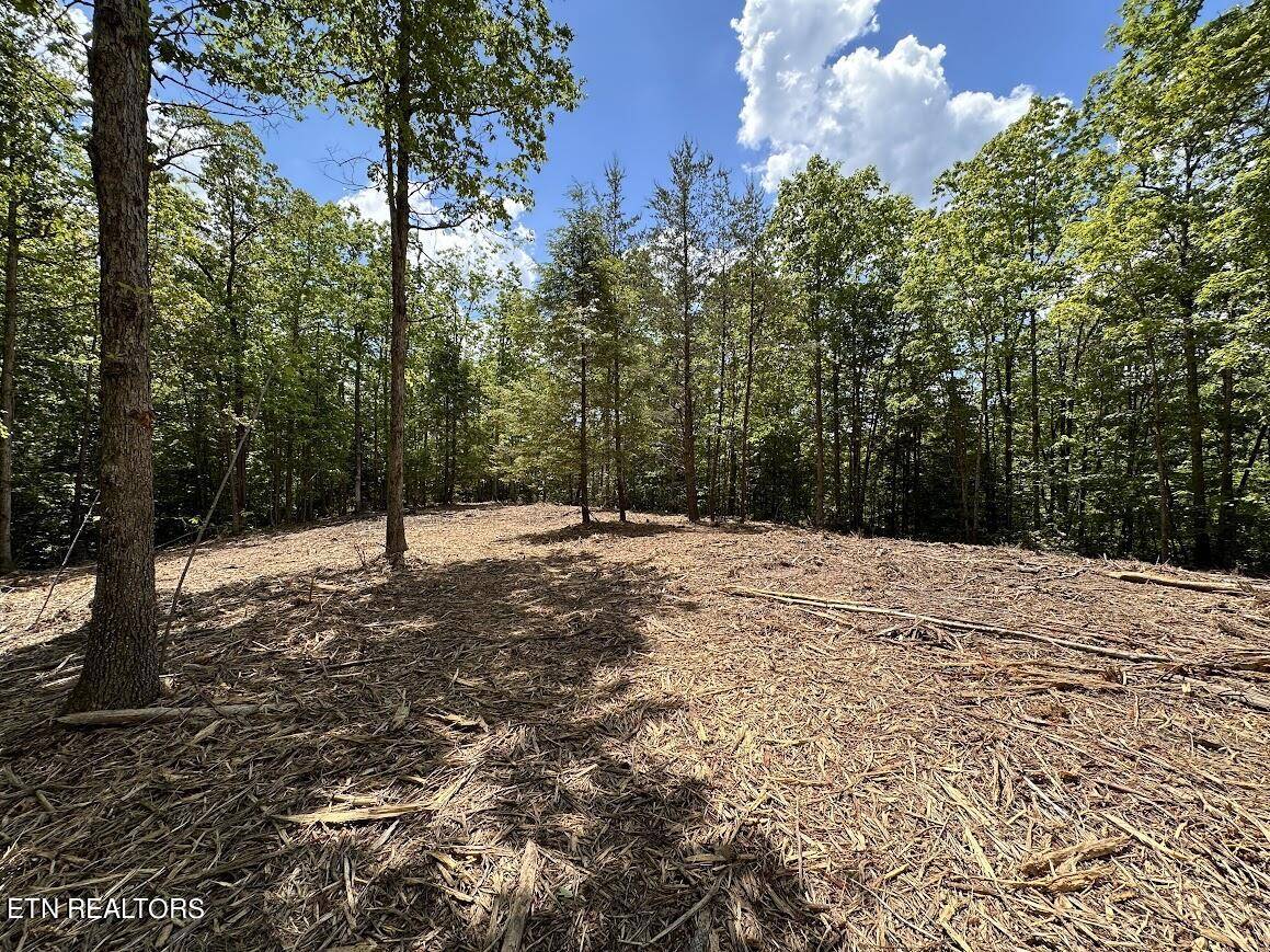 Jamestown, TN 38556,16.16ac Sarah Beth DR