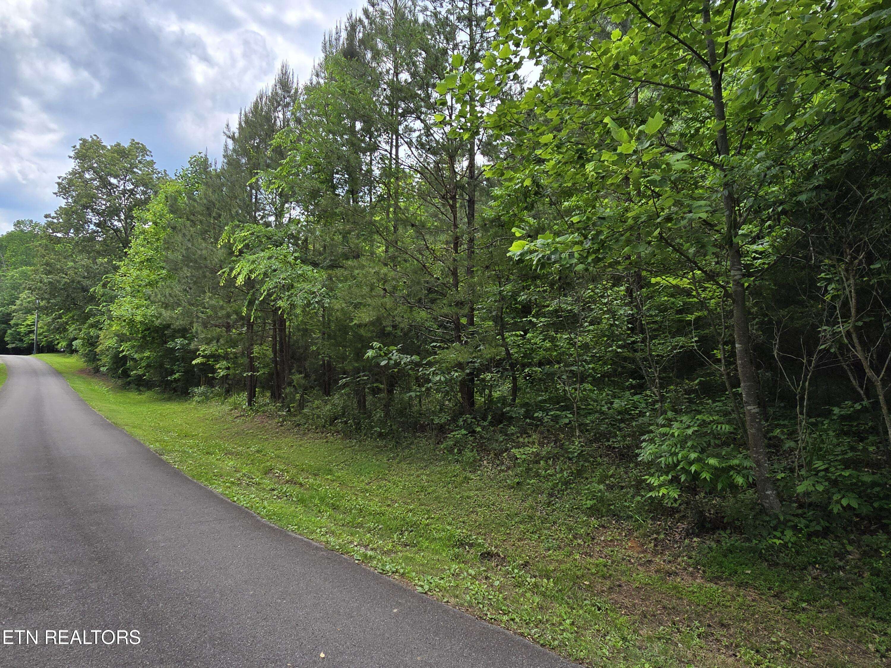 Madisonville, TN 37354,Lot 274 Pine Loop DR