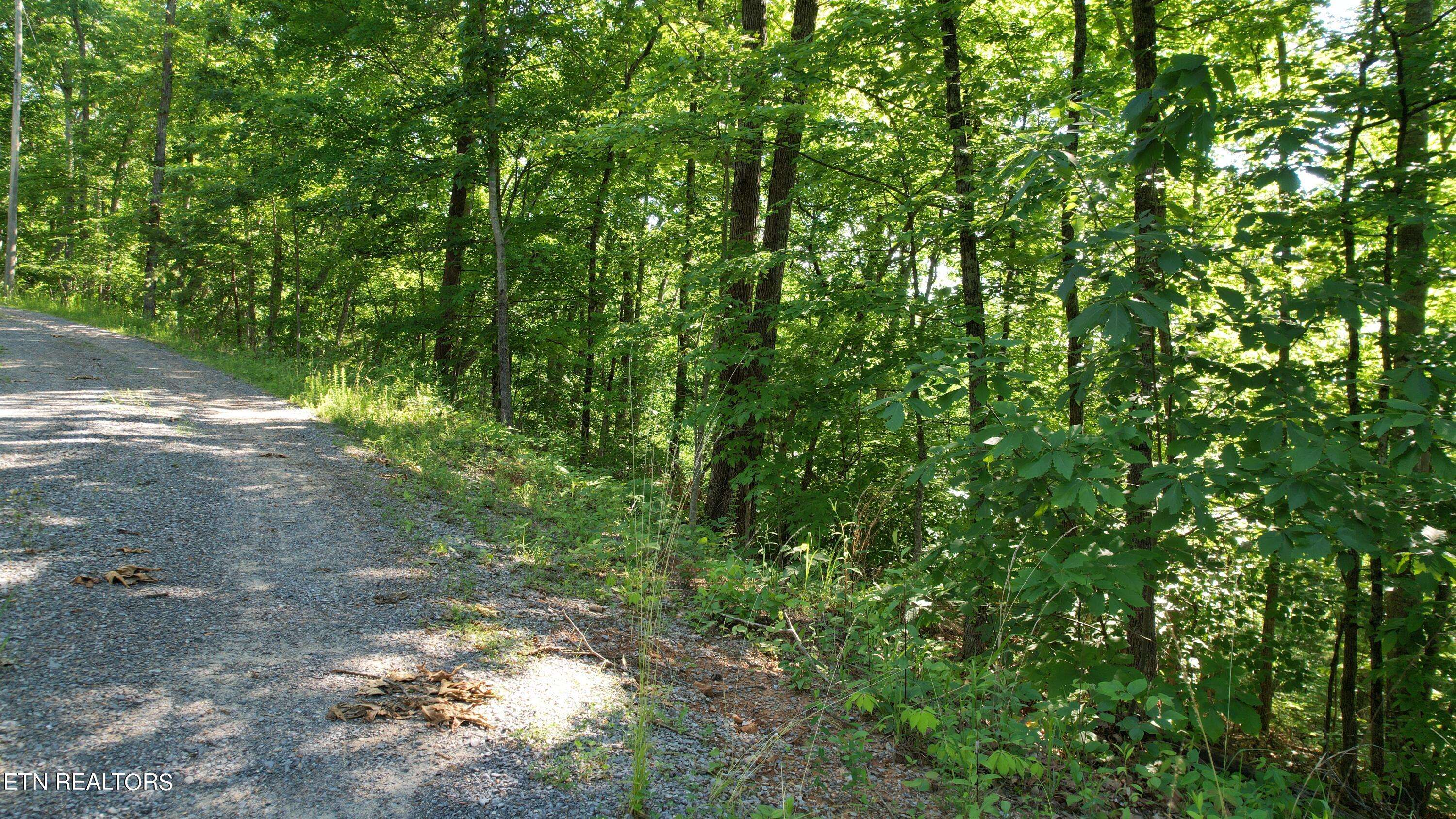 Sevierville, TN 37876,Lots 28/36 Shady Oaks WAY