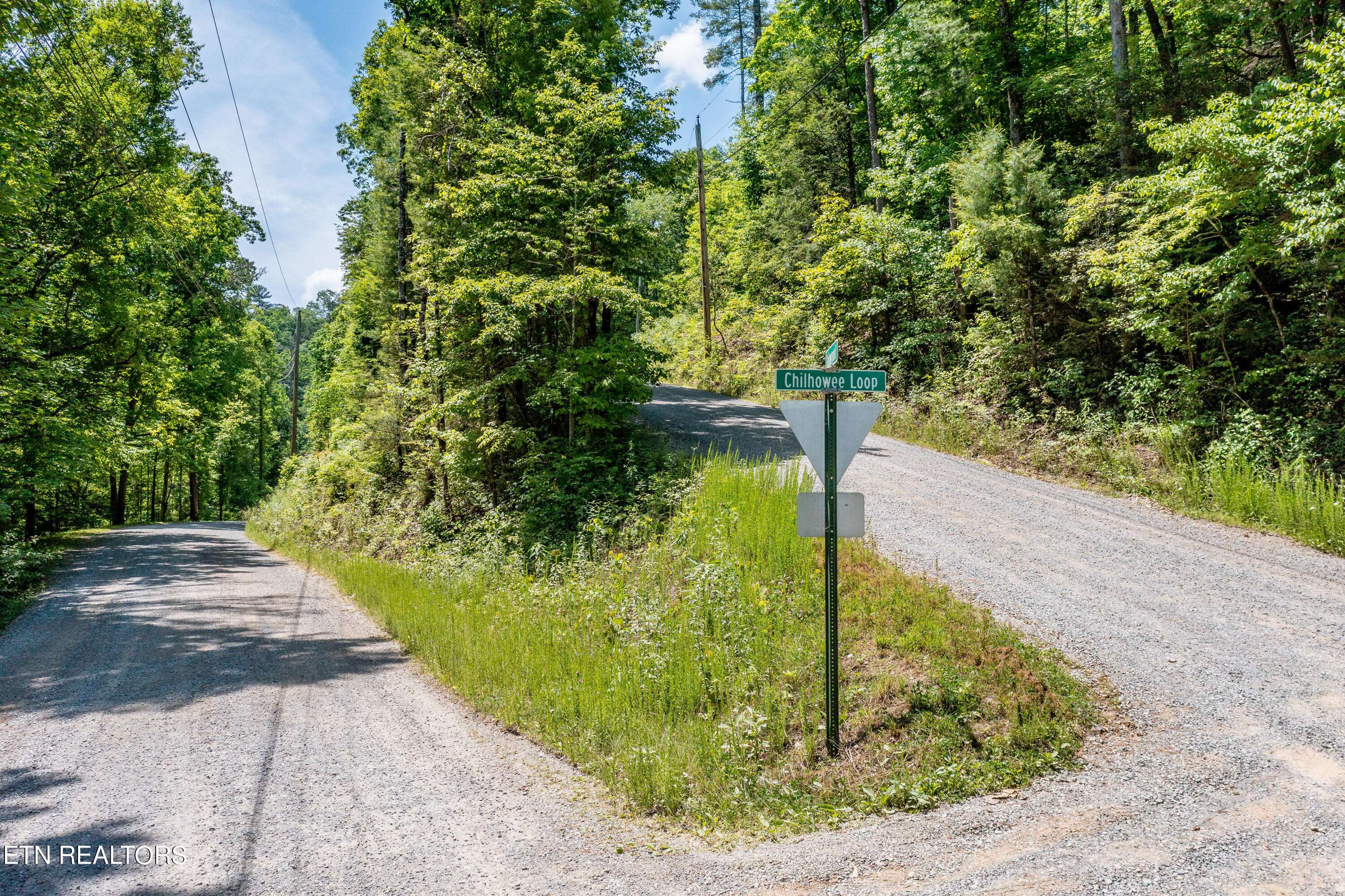 Walland, TN 37886,Lt. 34 Chilhowee Loop