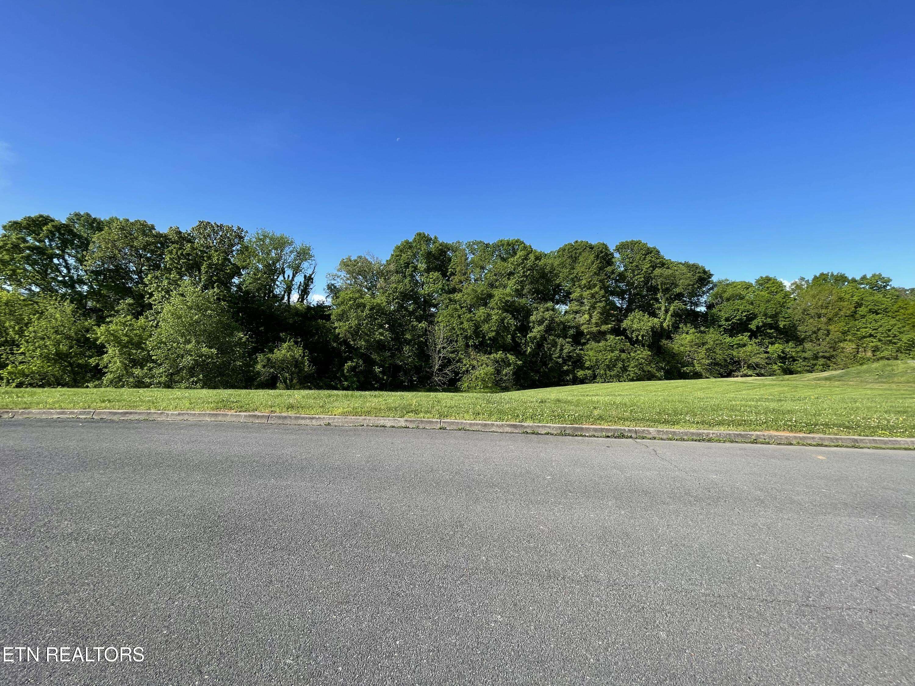 Sevierville, TN 37862,Lot 9 Alum Cave CV