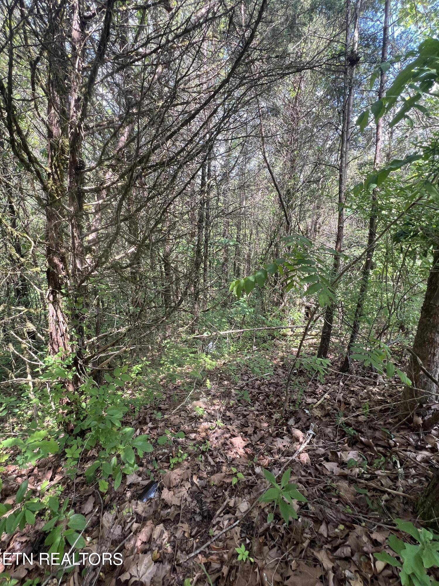 Tazewell, TN 37879,lot 287 Par PL